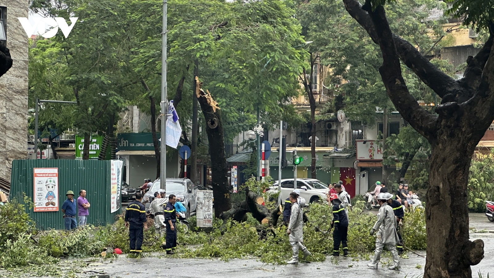 Hà Nội sẽ thu dọn cây đổ trong 24h