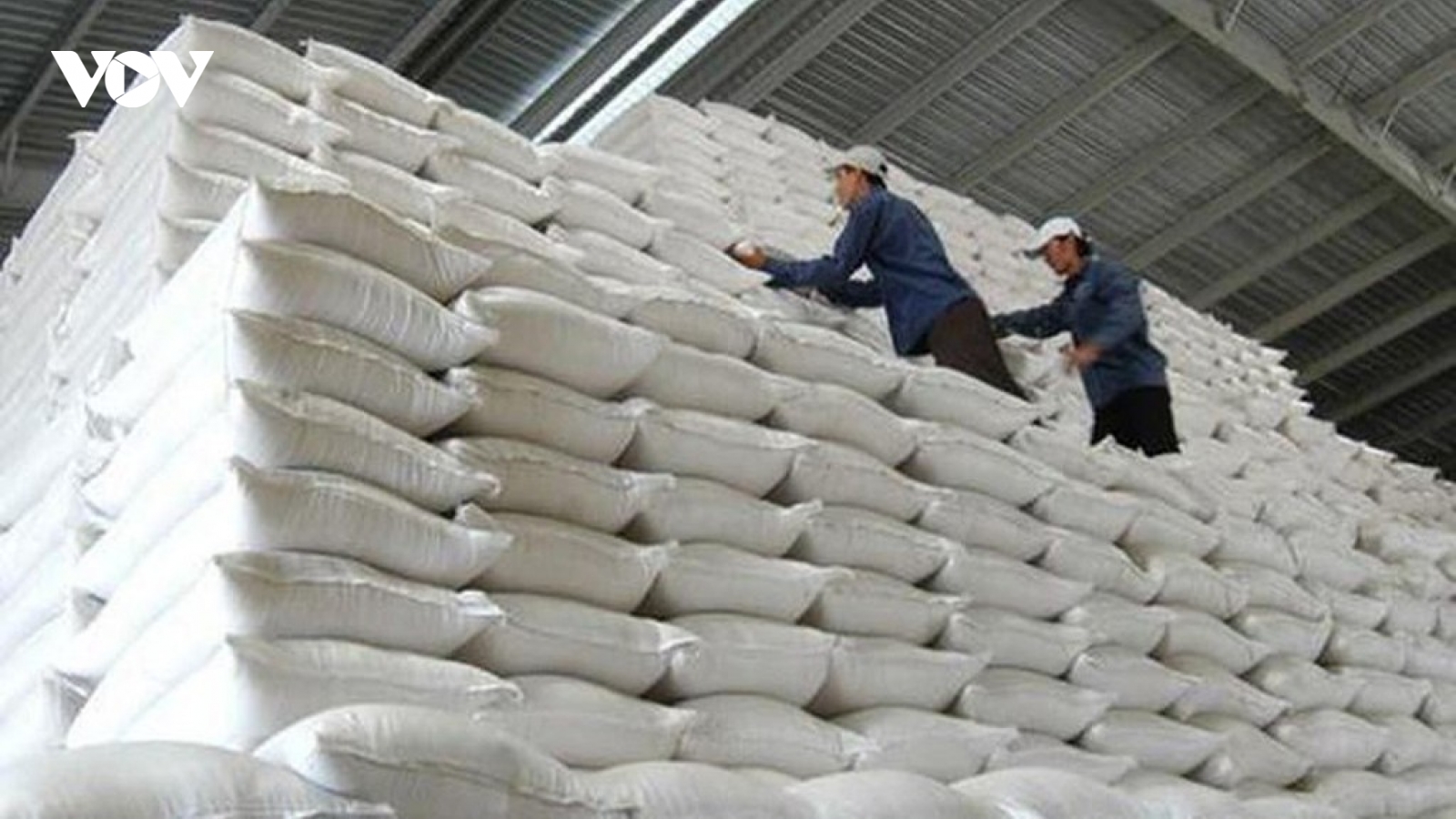 Trình Chính phủ hỗ trợ khẩn cấp cho Yên Bái và Lào Cai để khắc phục thiệt hại do bão lũ