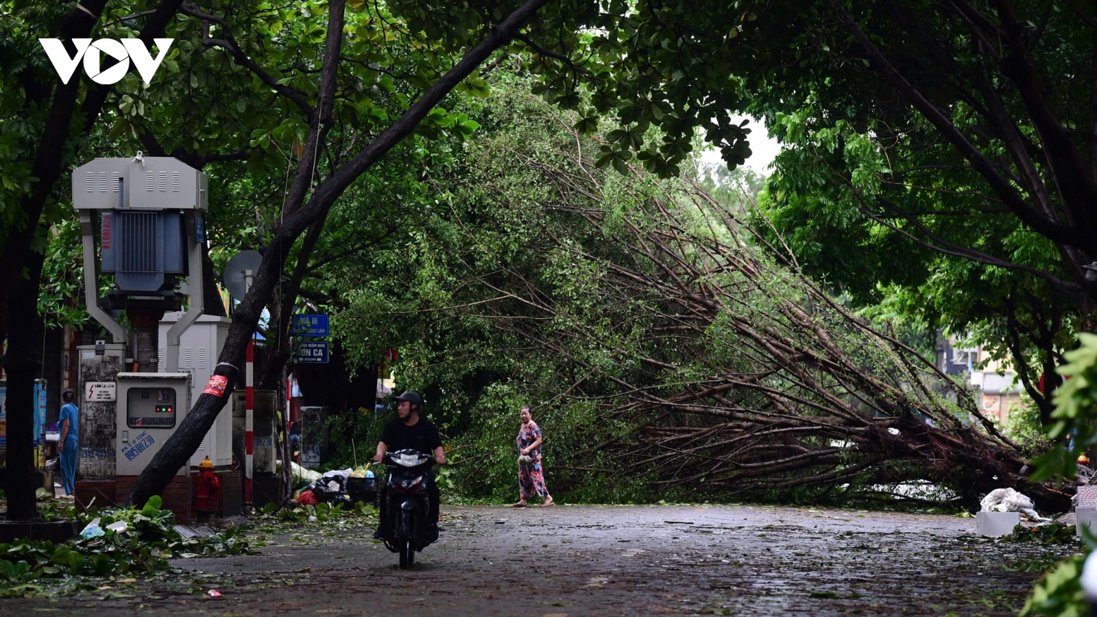 Khung cảnh Hà Nội ngổn ngang sau bão số 3