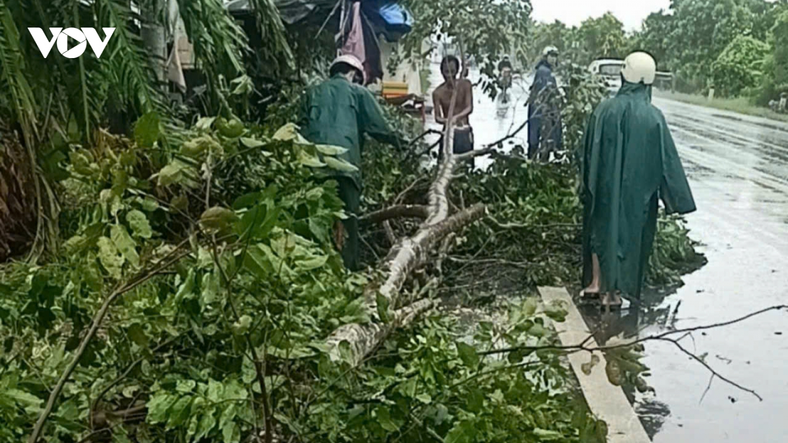 Mưa dông, lốc xoáy gây thiệt hại ở nhiều địa phương tại ĐBSCL