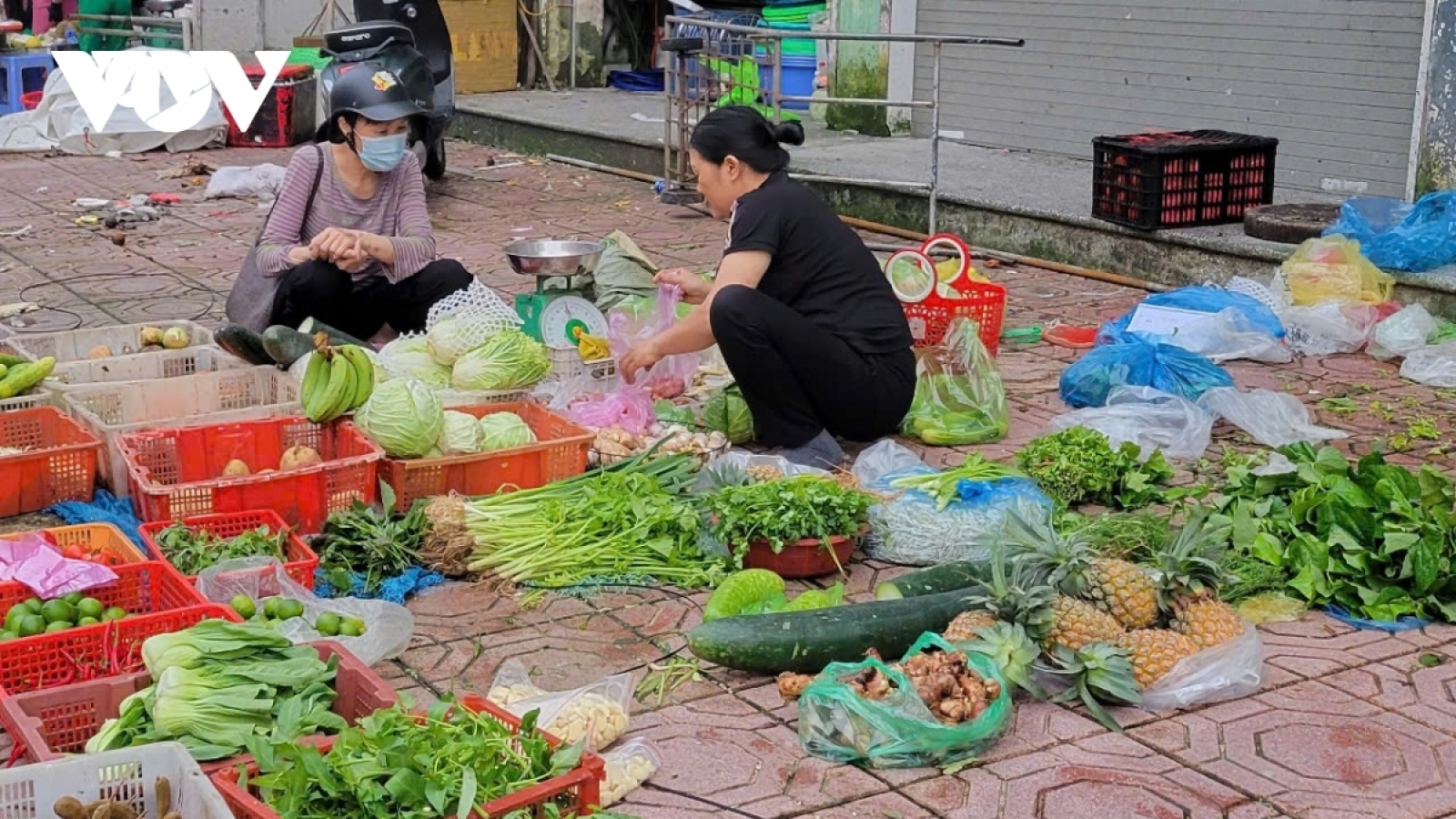 Khi nào thì giá rau xanh "hạ nhiệt"?