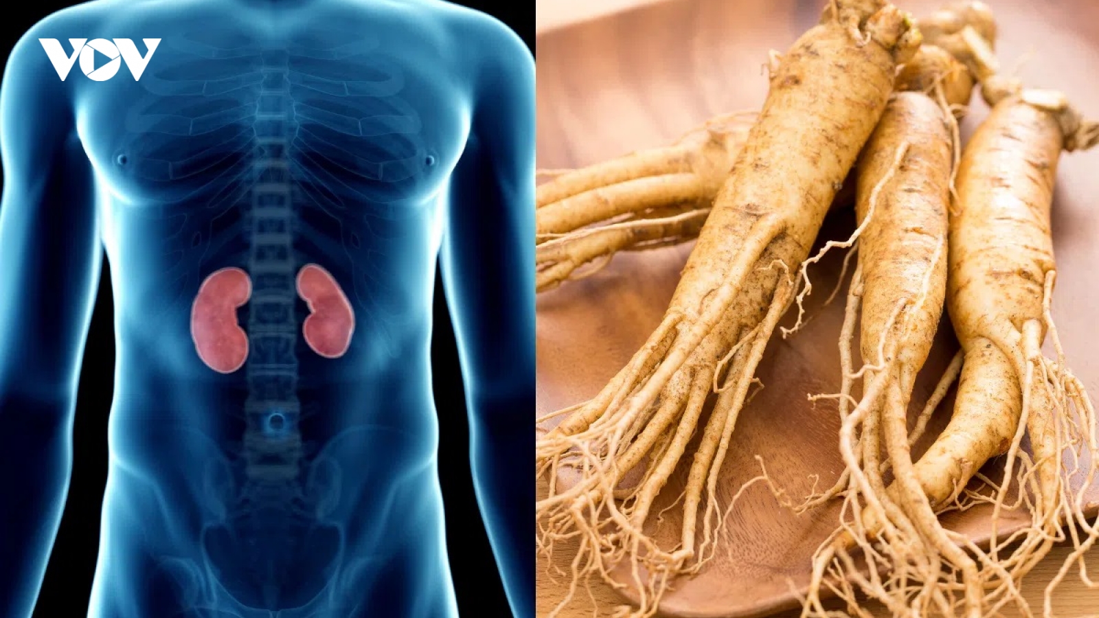 Dùng nhân sâm chữa yếu sinh lý có hiệu quả không?