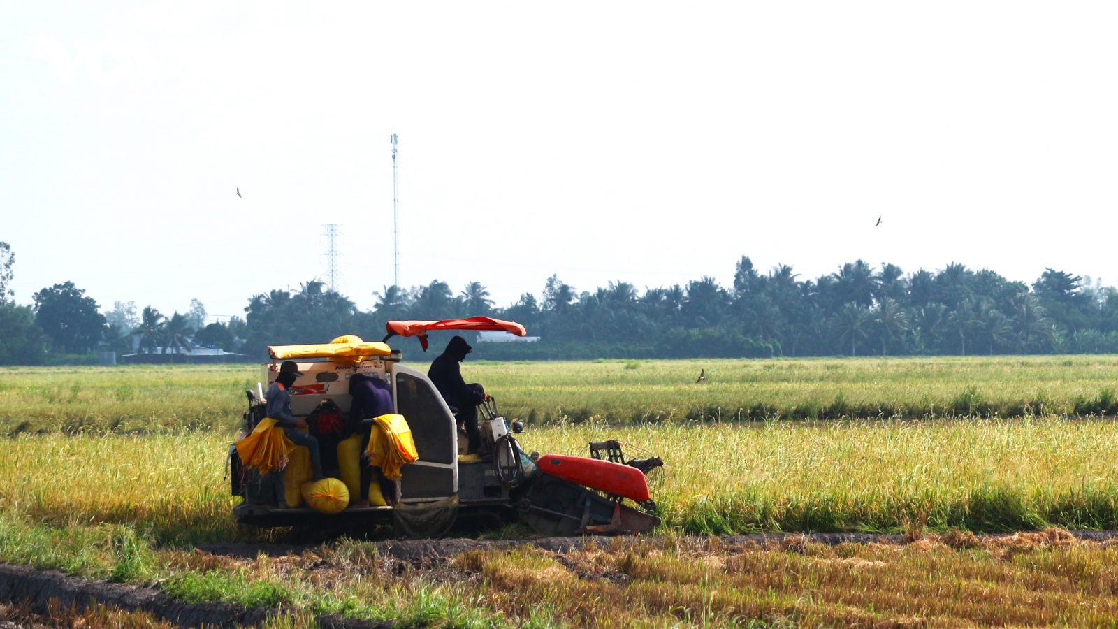 Đắk Lắk giúp nông dân phát huy vai trò trung tâm trong phát triển kinh tế