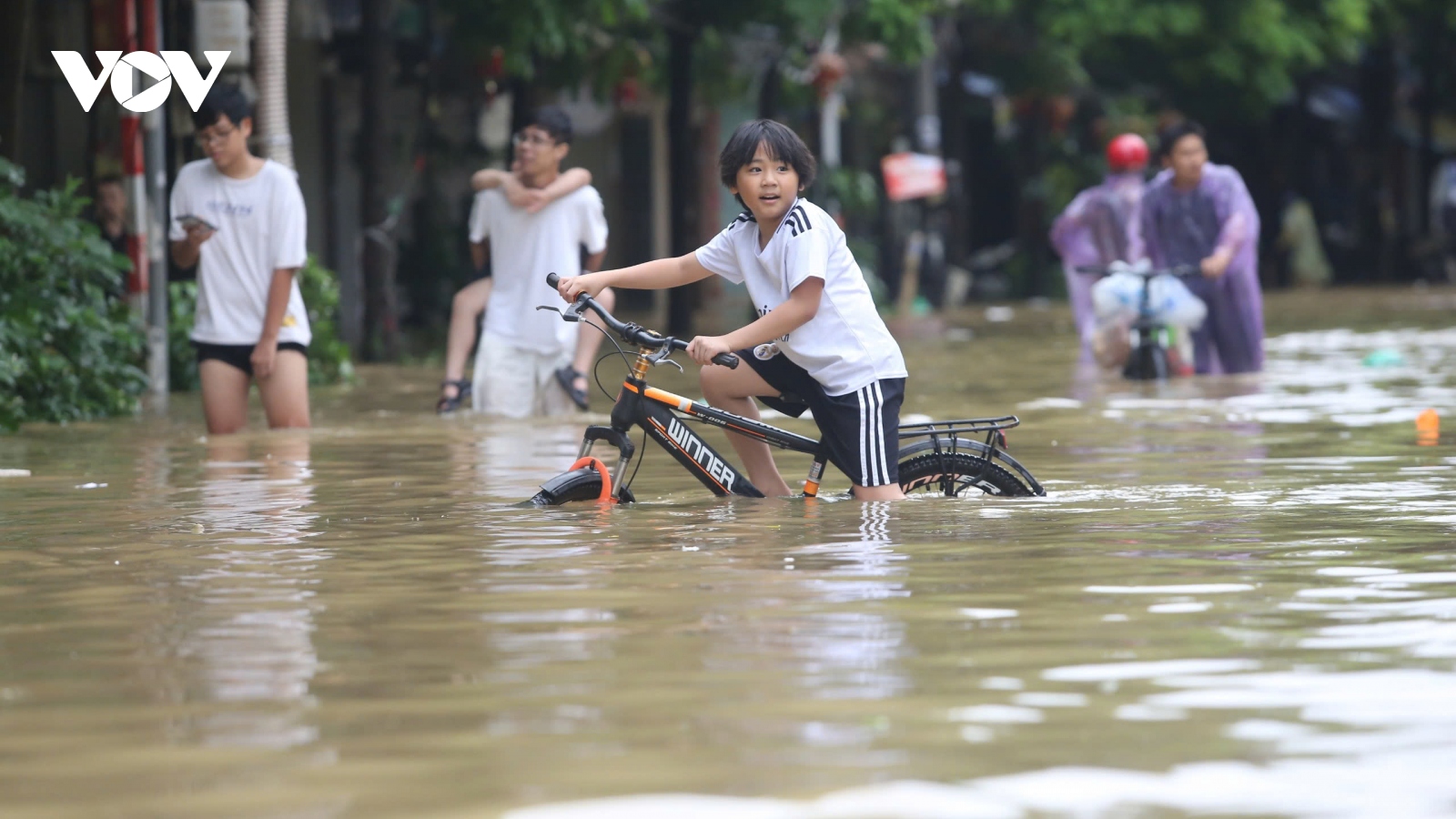 Người dân trồng quất ở Tứ Liên (Hà Nội) hối hả chạy lũ, di dời tài sản