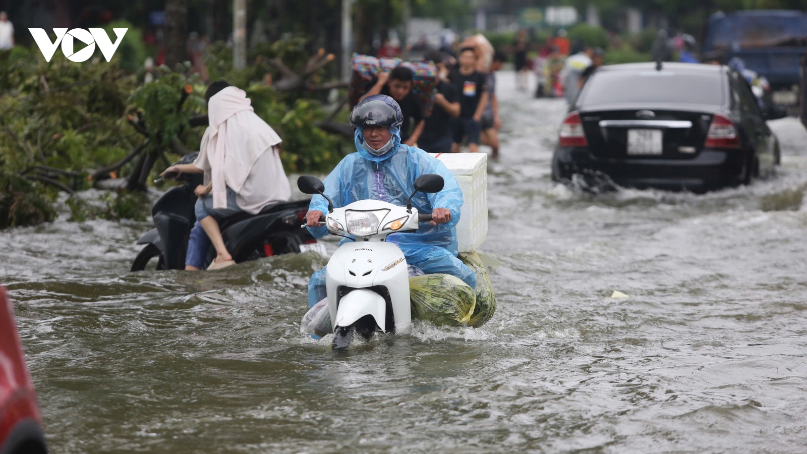 Thời tiết ngày 11/9: Các khu vực trên cả nước có mưa vừa, mưa to và dông