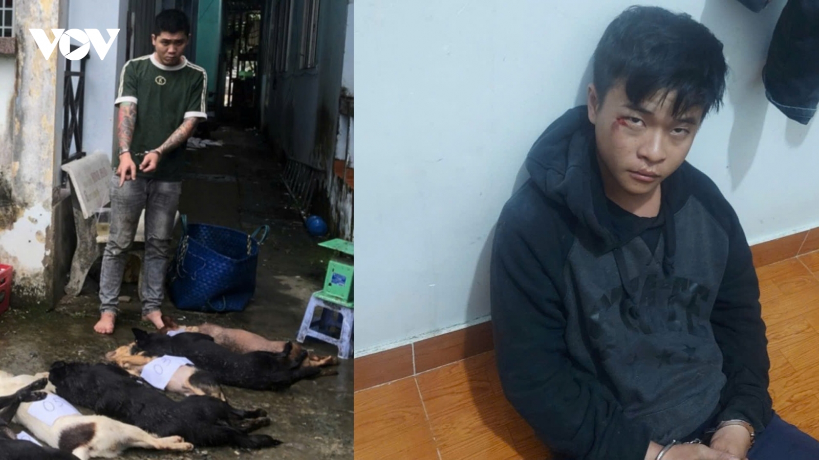 Khởi tố đối tượng trộm chó có nhiều tiền sự ở Tiền Giang