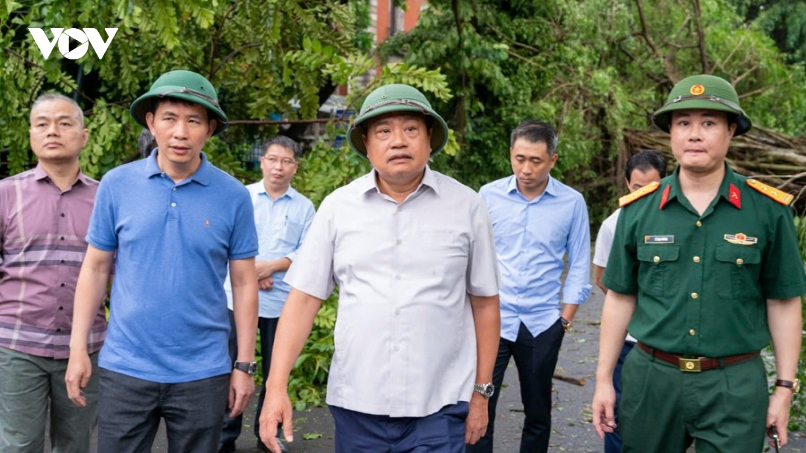 Chủ tịch Hà Nội: Cố gắng giữ, trồng lại những cây xanh trăm tuổi bị đổ do bão số 3