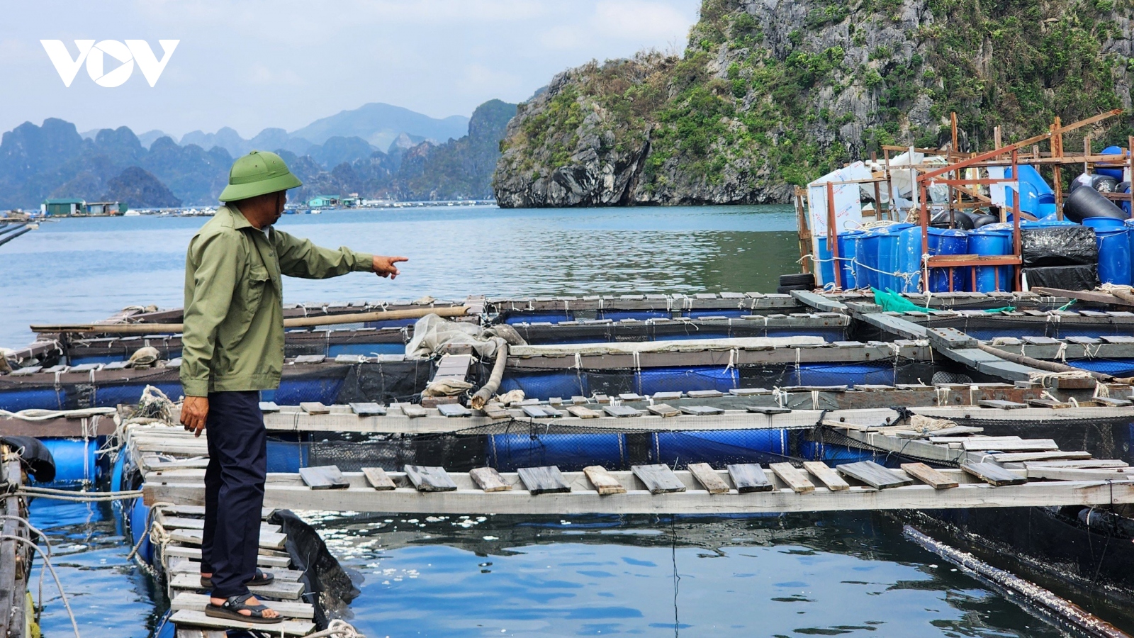 Nước mắt của biển