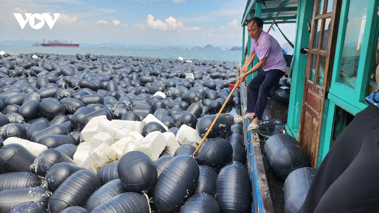 Nương nhờ vào biển, khôi phục diện tích thủy hải sản