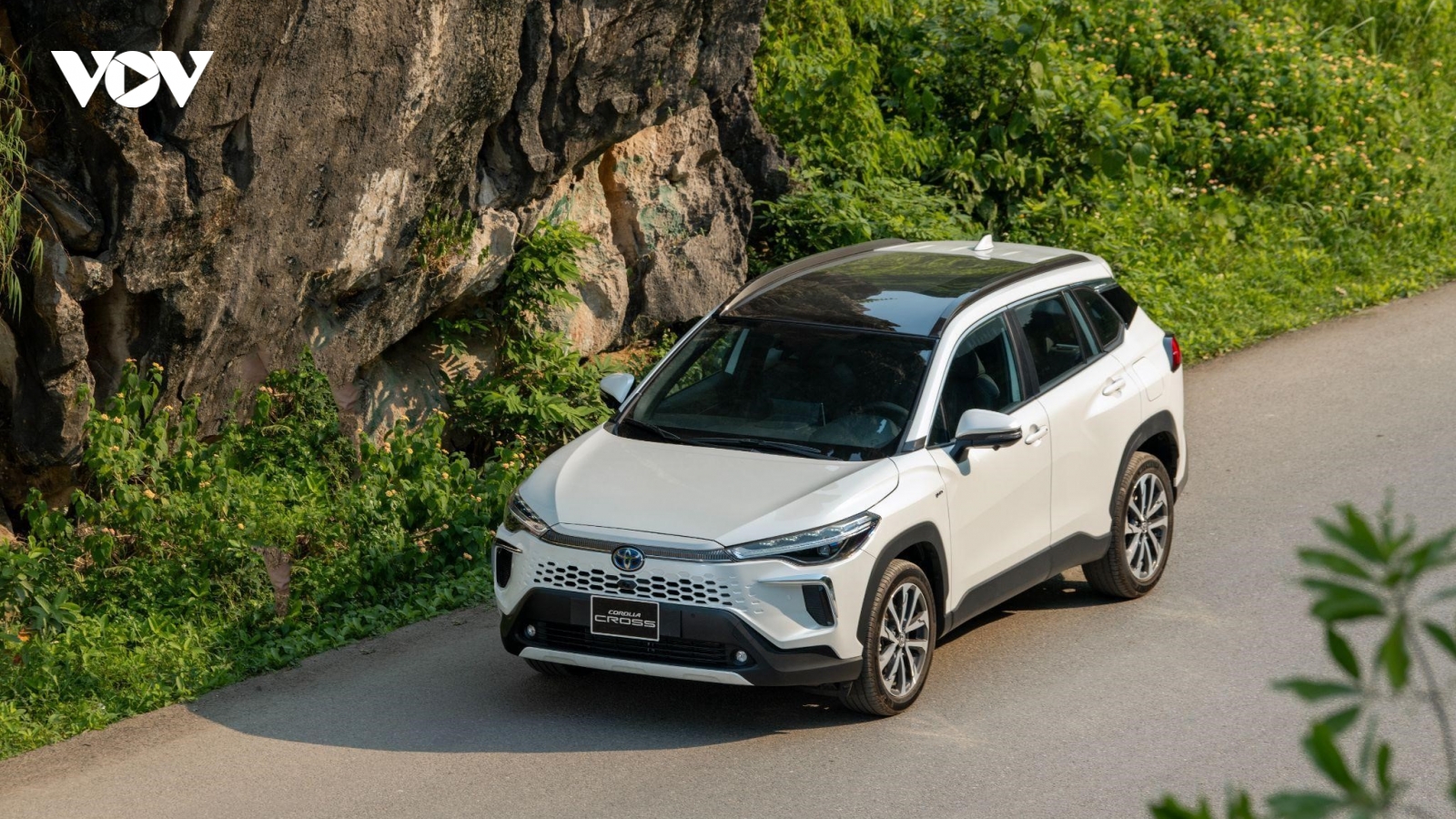 Bức tranh thị trường ô tô 9 tháng đầu năm 2024: Toyota duy trì vị thế