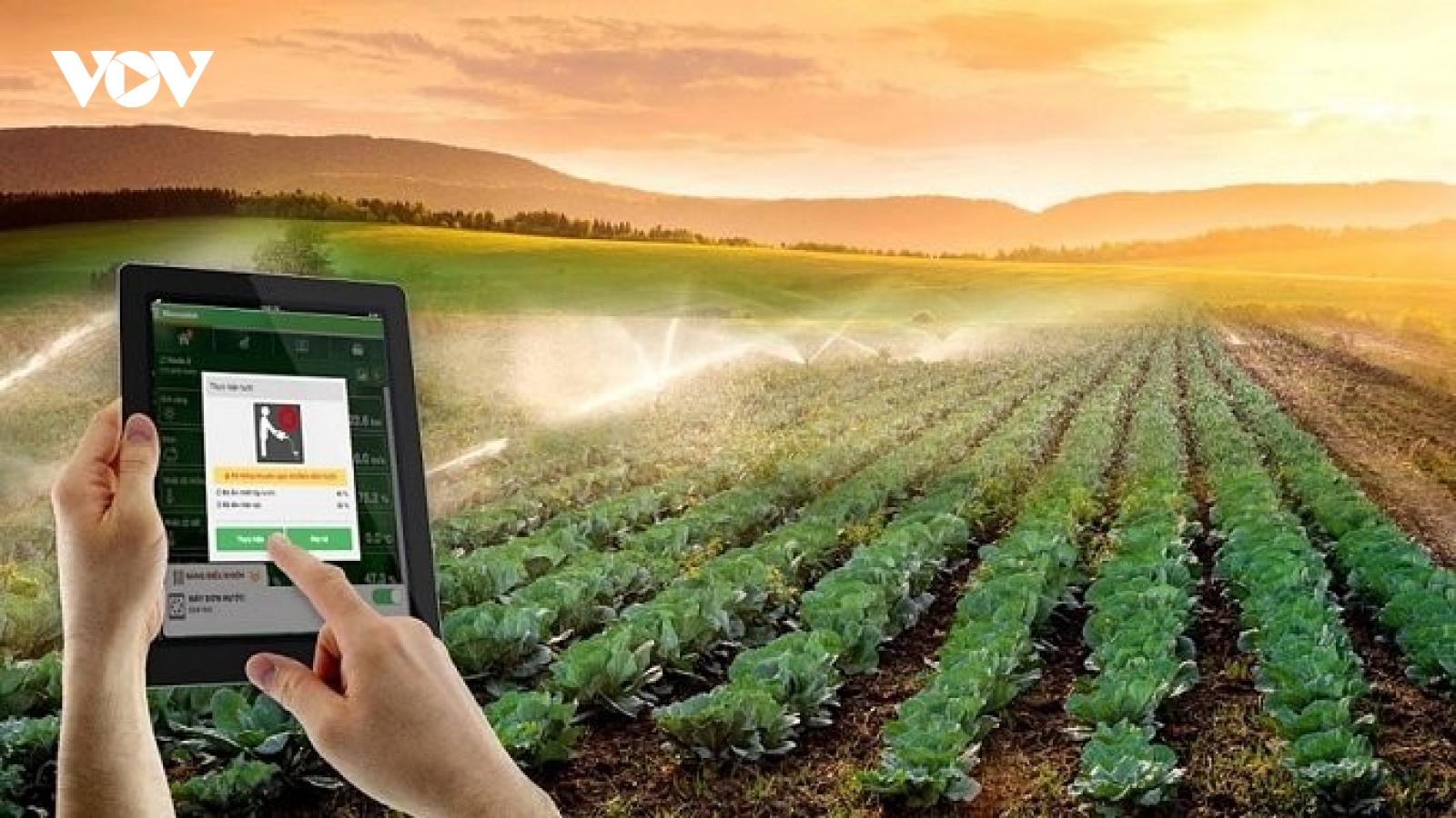 Cần đẩy nhanh tốc độ chuyển đổi số các hợp tác xã