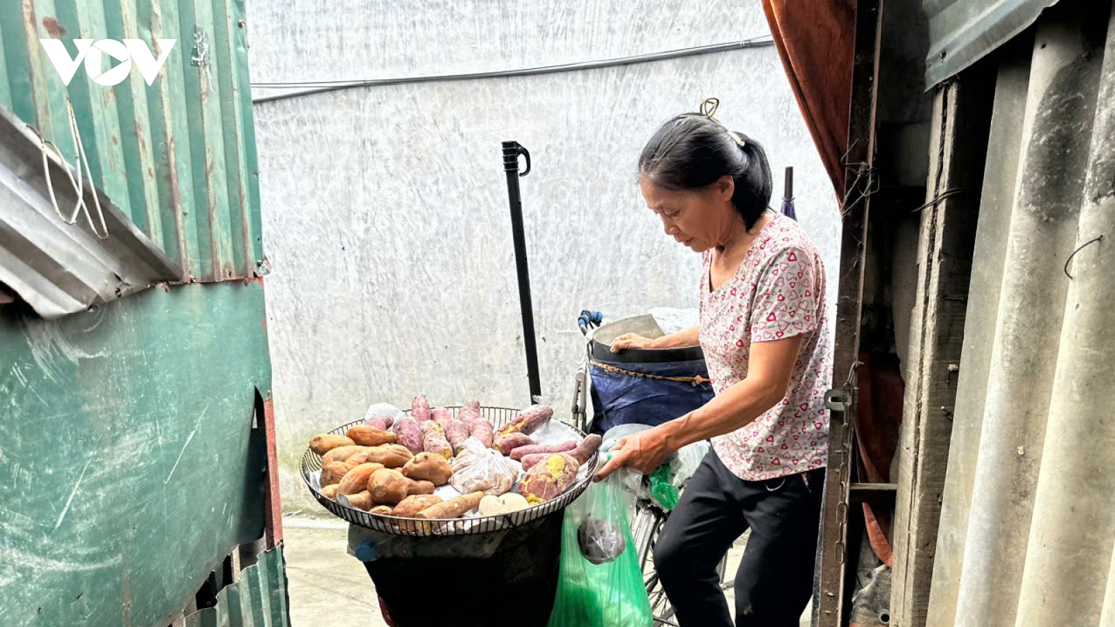 Người dân bãi sông Hồng (Hà Nội) nhọc nhằn mưu sinh trở lại sau lũ dữ