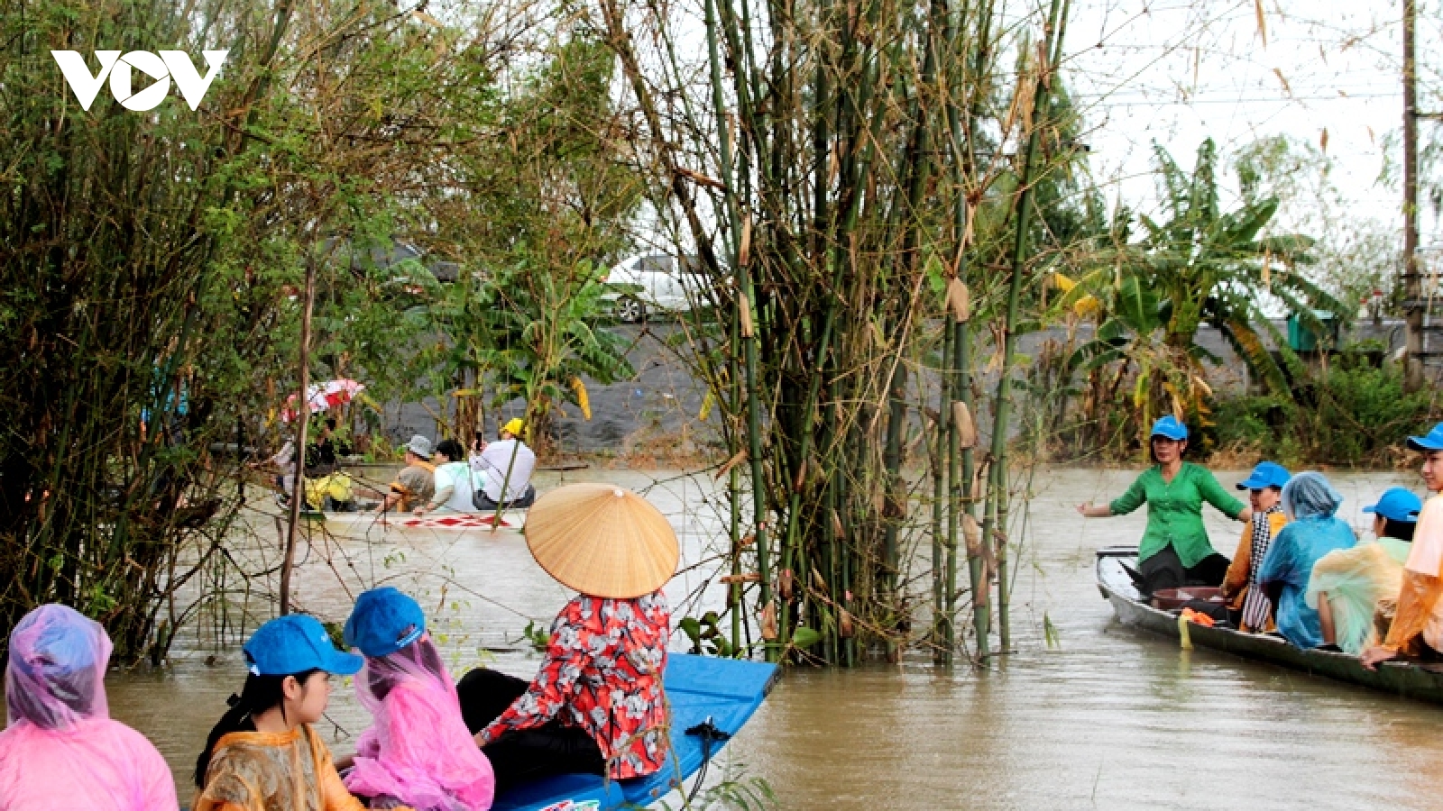 Về Đồng Tháp trải nghiệm du lịch mùa nước nổi