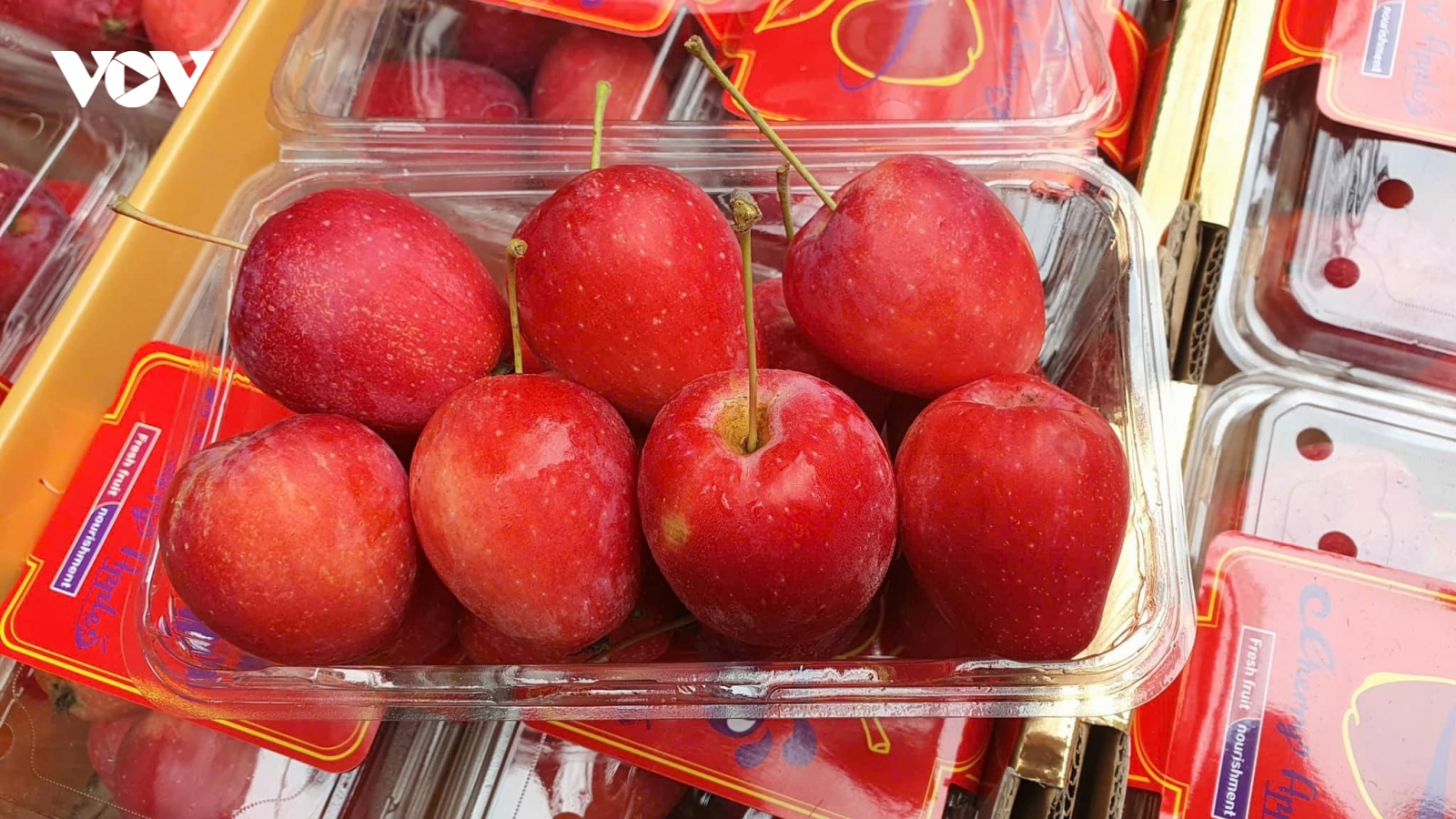 Táo đỏ au, bé xíu của Trung Quốc “dội chợ” Việt