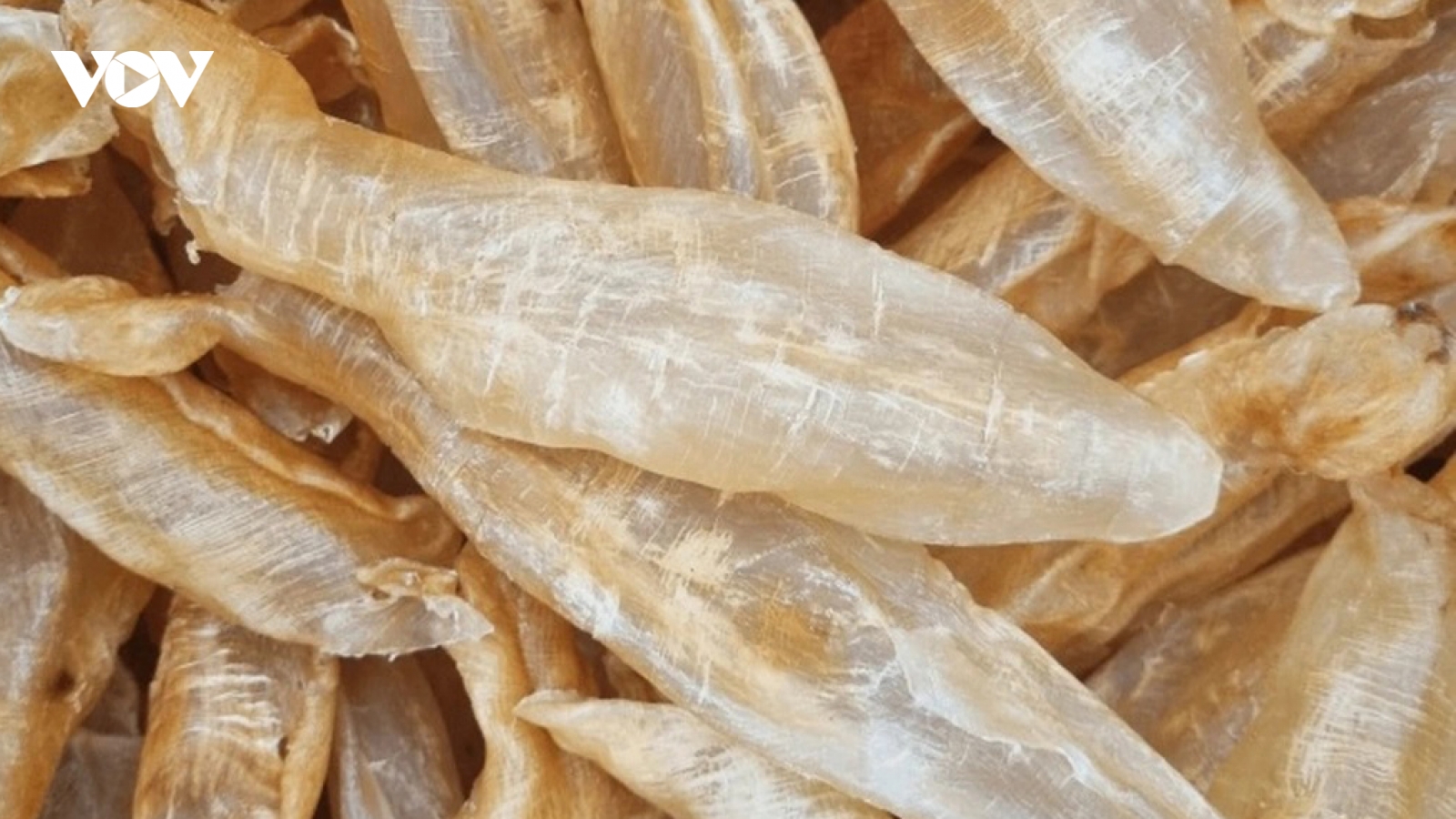 Bong bóng cá tra khô thành đặc sản được thị trường tỷ dân ưa chuộng