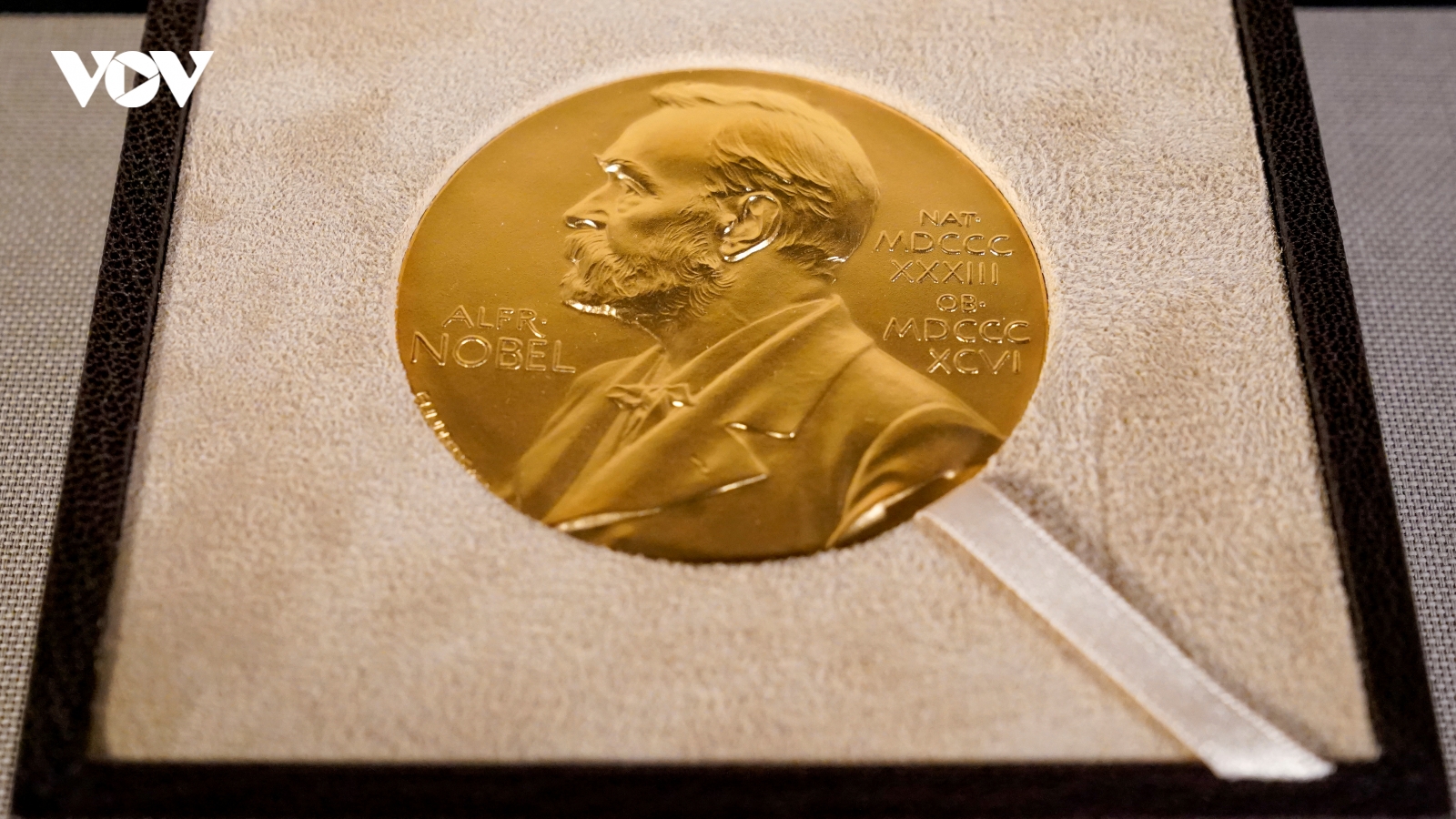 Tổ chức Nihon Hidankyo của Nhật Bản giành Giải Nobel Hòa bình 2024