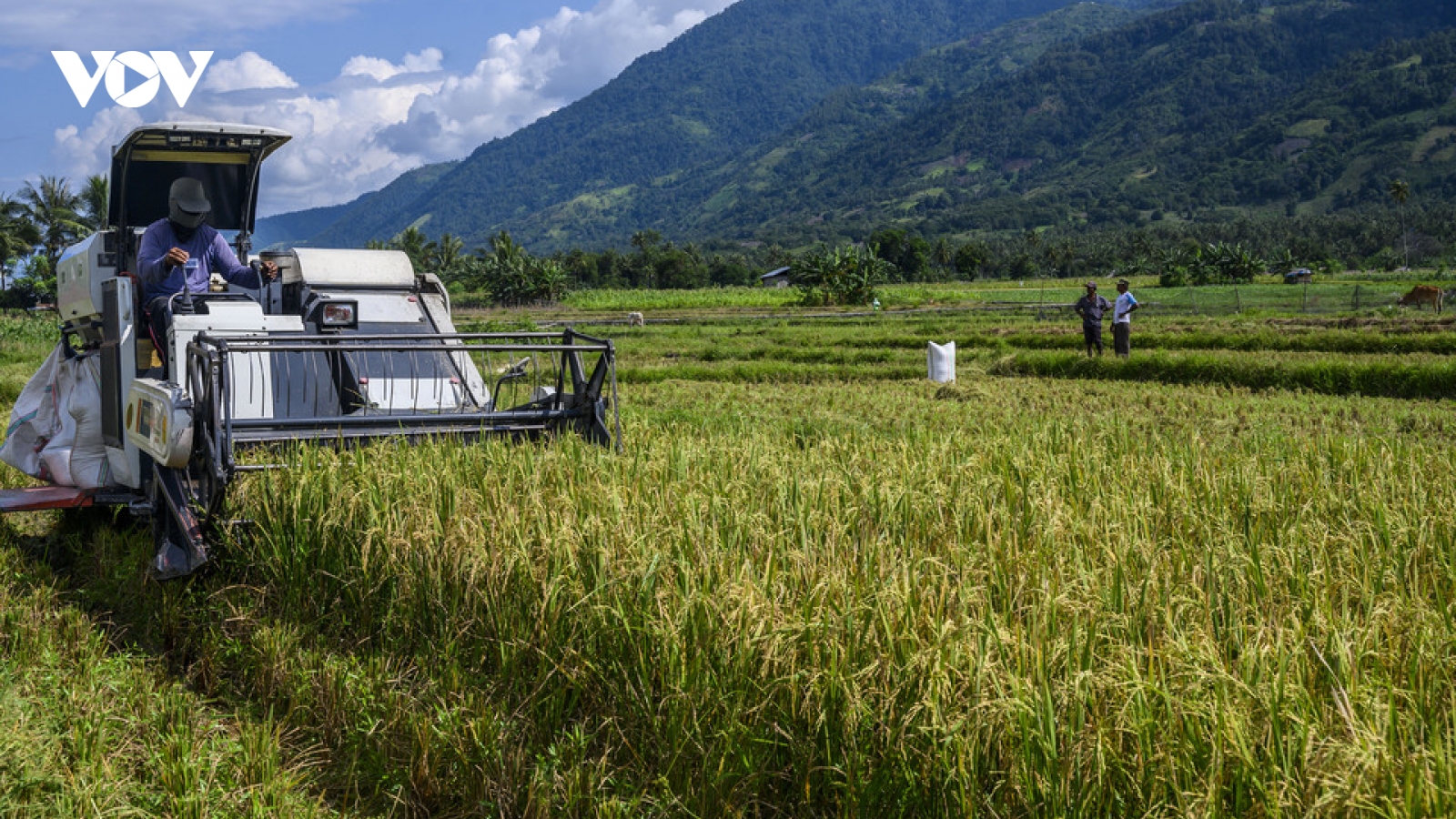 Indonesia kỳ vọng đưa thu nhập nông dân tăng gấp 5 lần