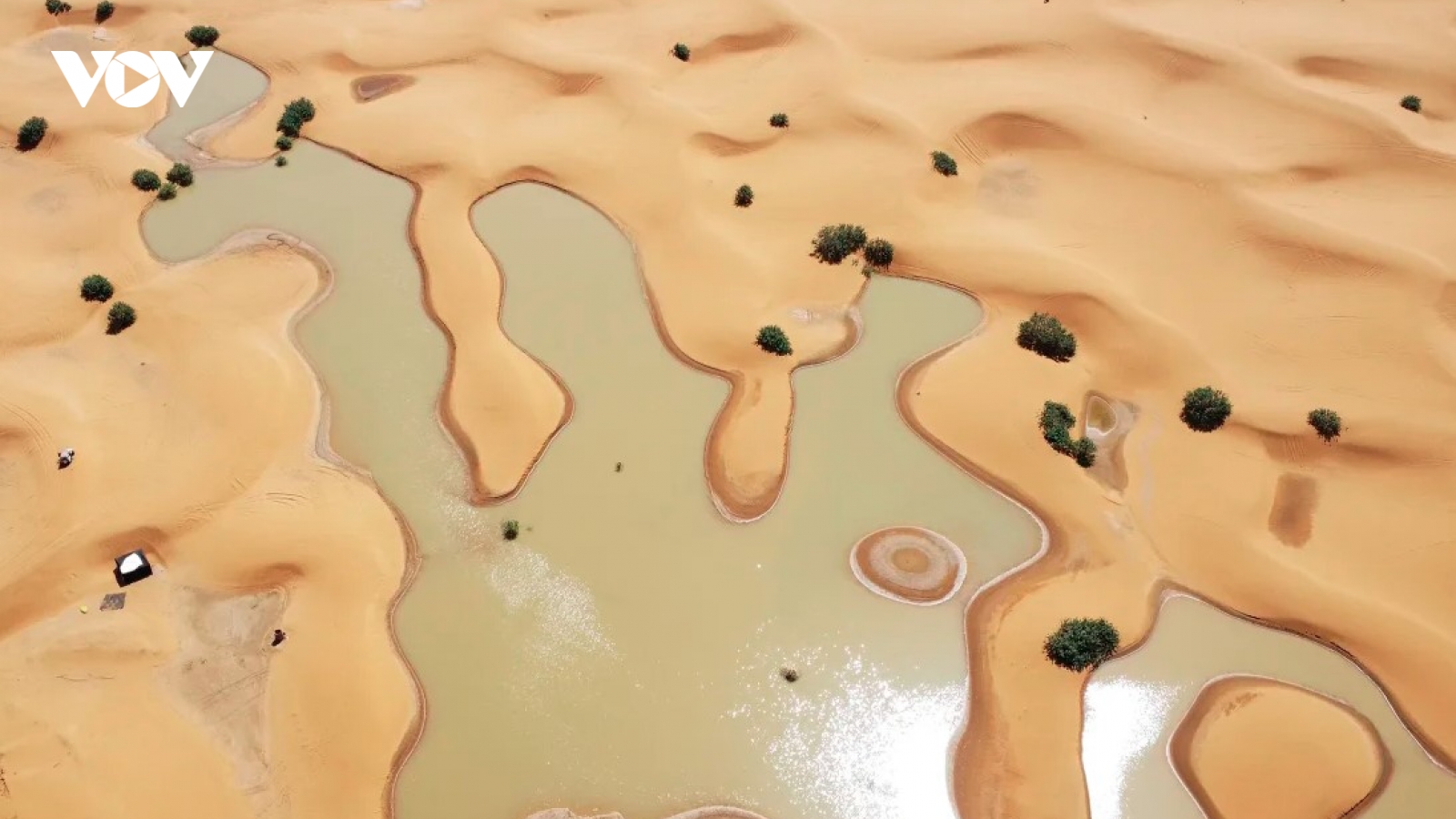 Hình ảnh sa mạc Sahara ngập lụt lần đầu tiên trong nhiều thập kỷ