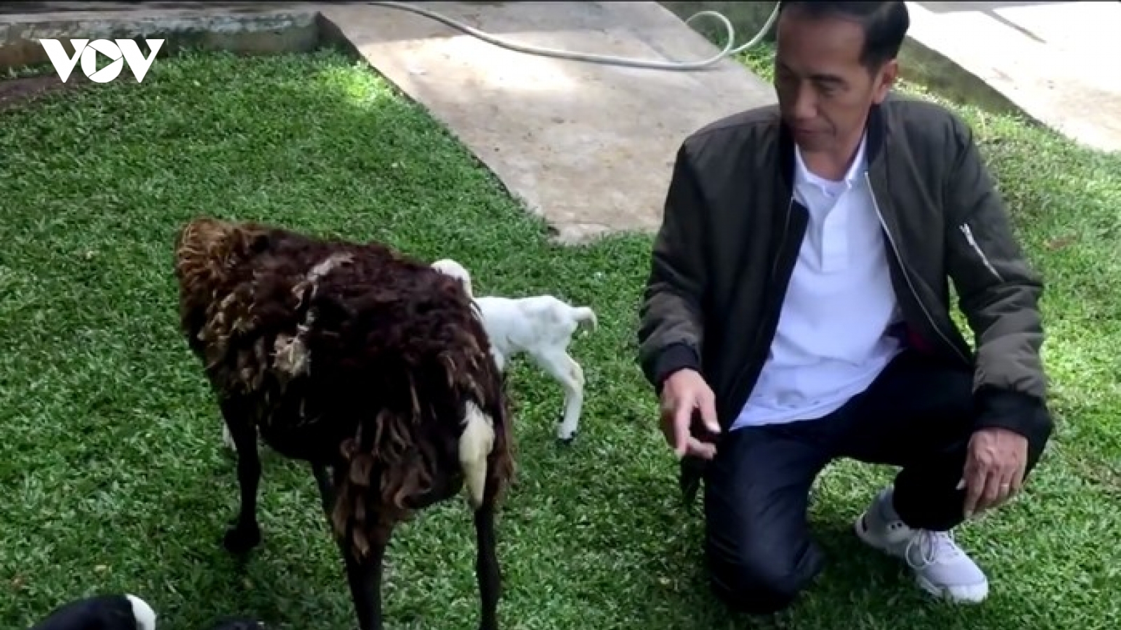 Tổng thống Indonesia tiết lộ kế hoạch nghỉ hưu: Về quê và ngủ