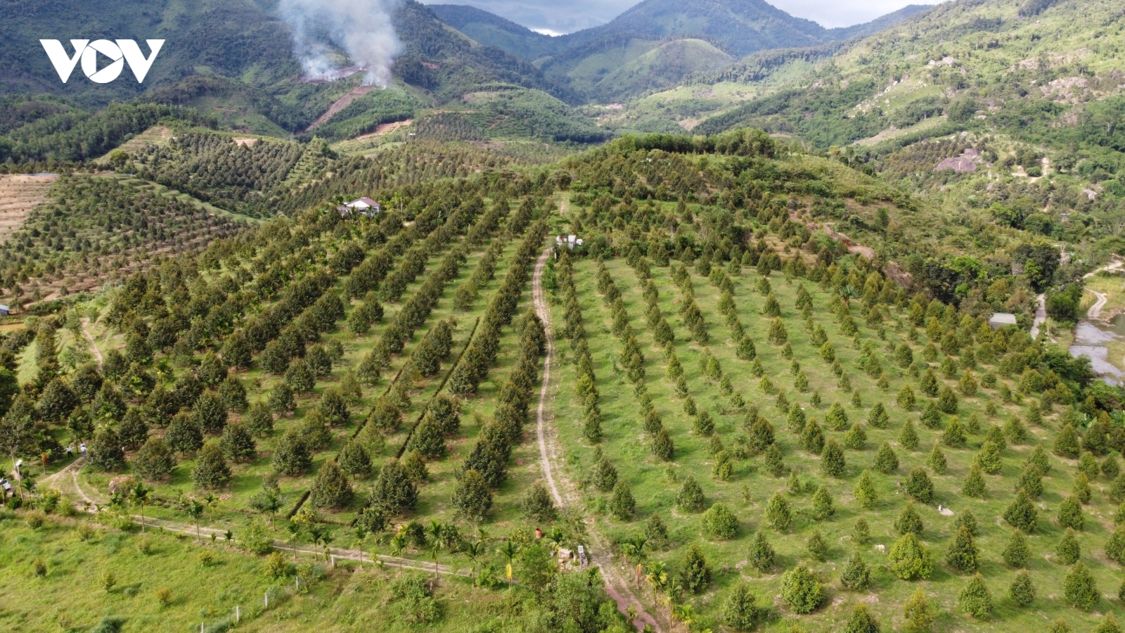Thu hút đầu tư vào miền núi Khánh Hòa