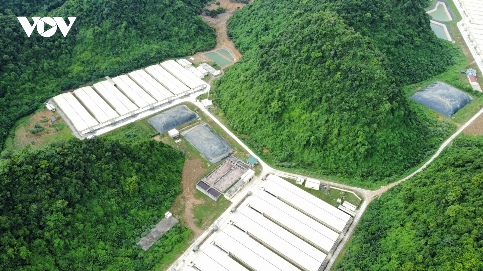 Thanh Hóa xử phạt trang trại lợn hơn 216 triệu đồng do gây ô nhiễm