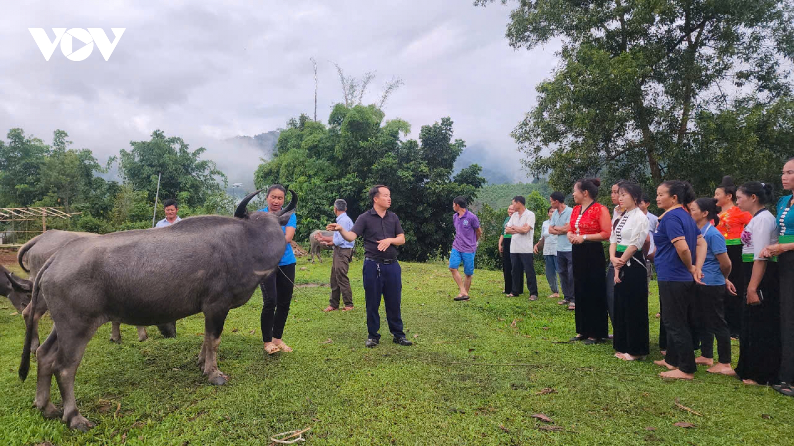 "Chìa khoá" để người dân Mường Nhé xoá nghèo bền vững