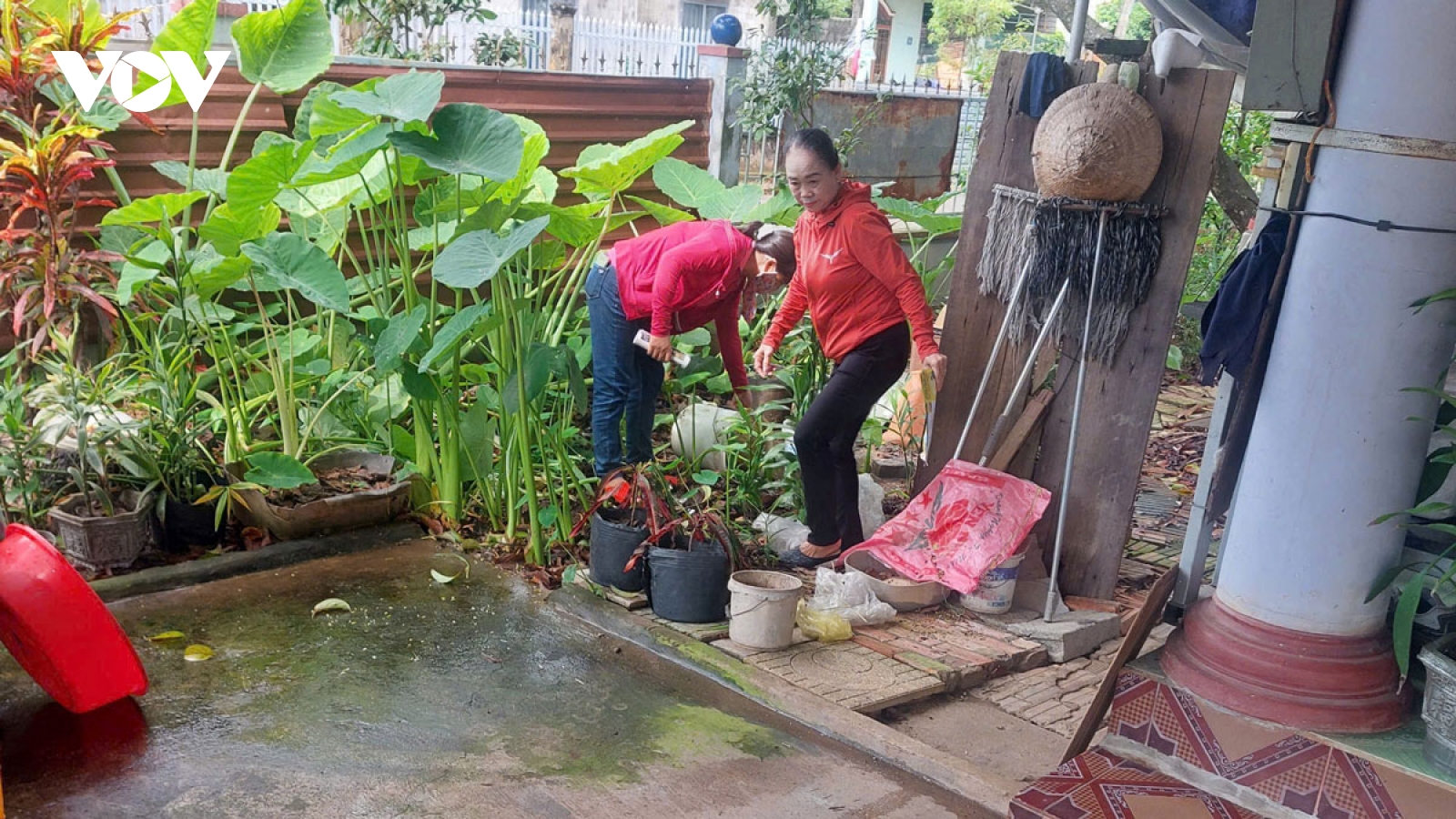 Một học sinh tiểu học ở Bình Phước tử vong do sốt xuất huyết