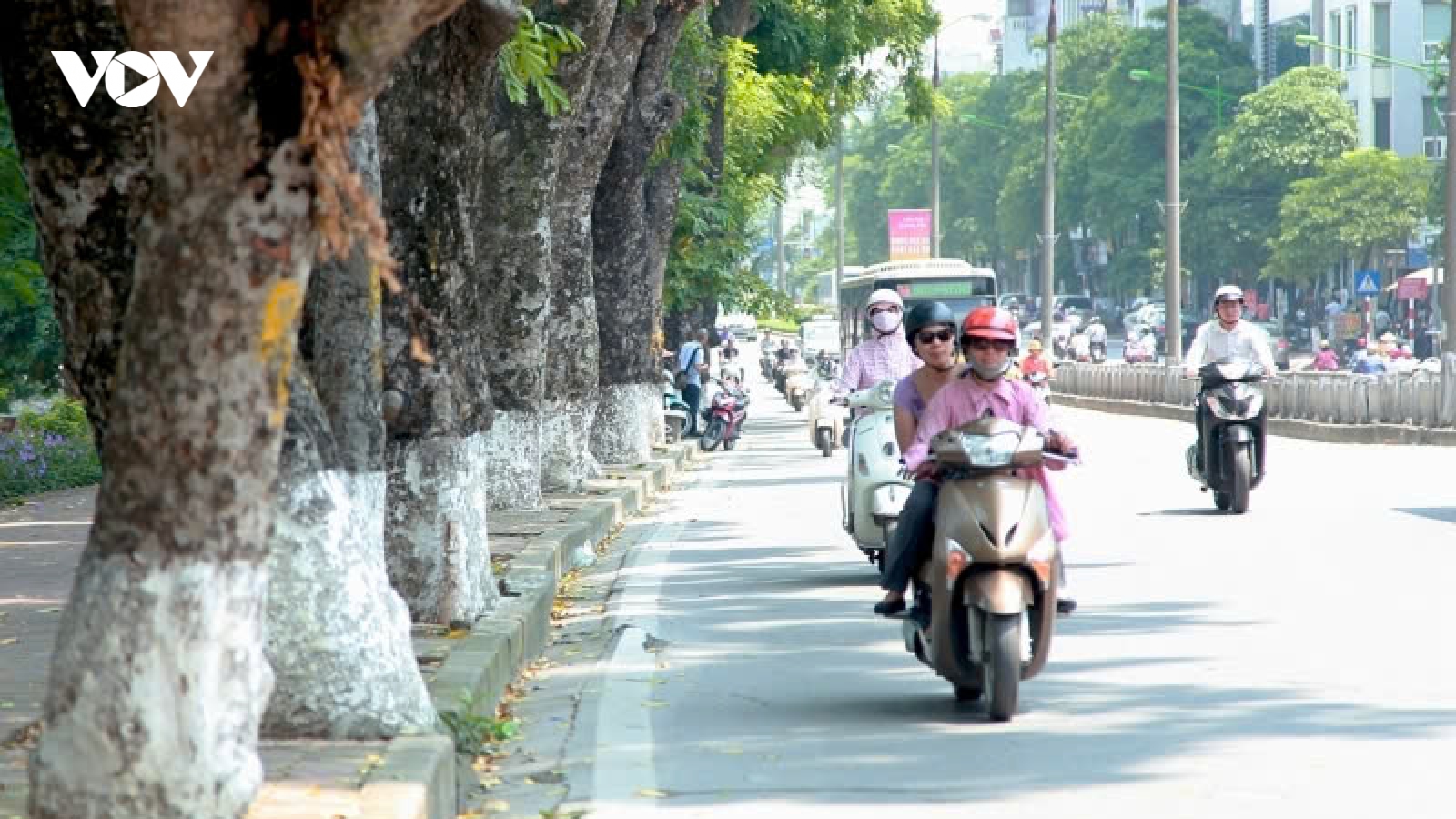 Thời tiết hôm nay 4/10: Miền Bắc sáng sớm se lạnh, miền Nam có mưa rào và dông