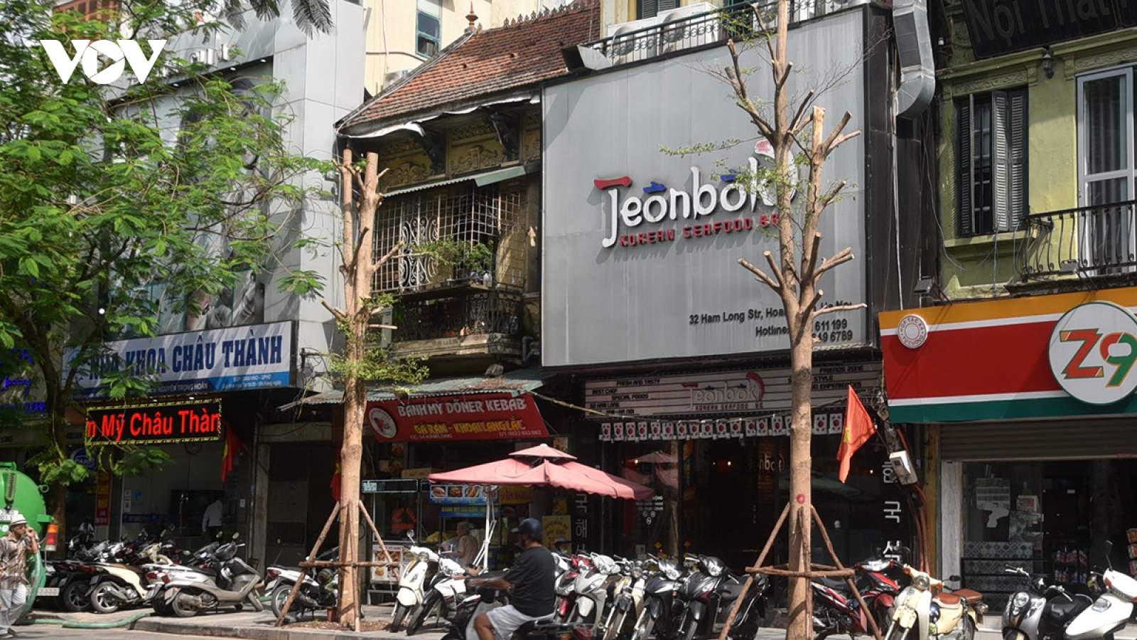 Hà Nội bắt đầu trồng cây xanh thay thế cây gãy đổ trên một số tuyến phố