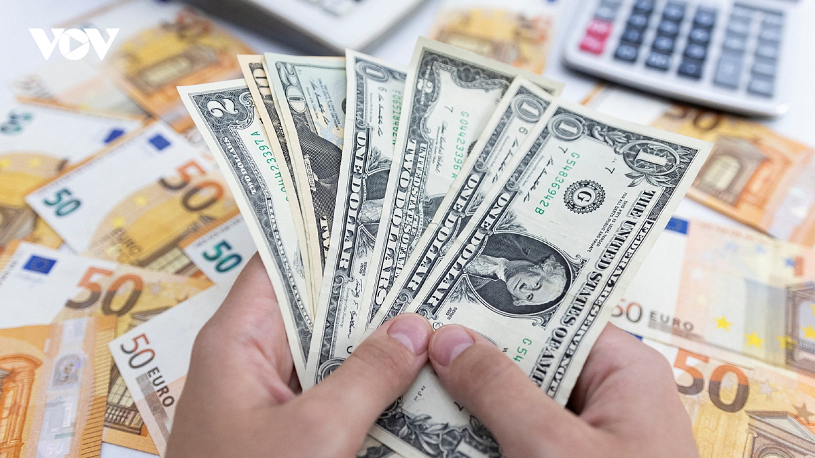 Tỷ giá USD hôm nay 19/11: Tỷ giá trung tâm nâng lên mức 24.293 đồng/USD