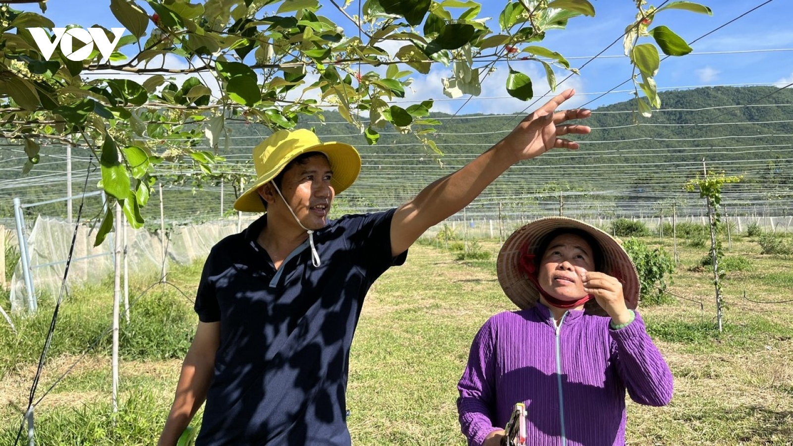 Người truyền lửa làm giàu cho nhà nông