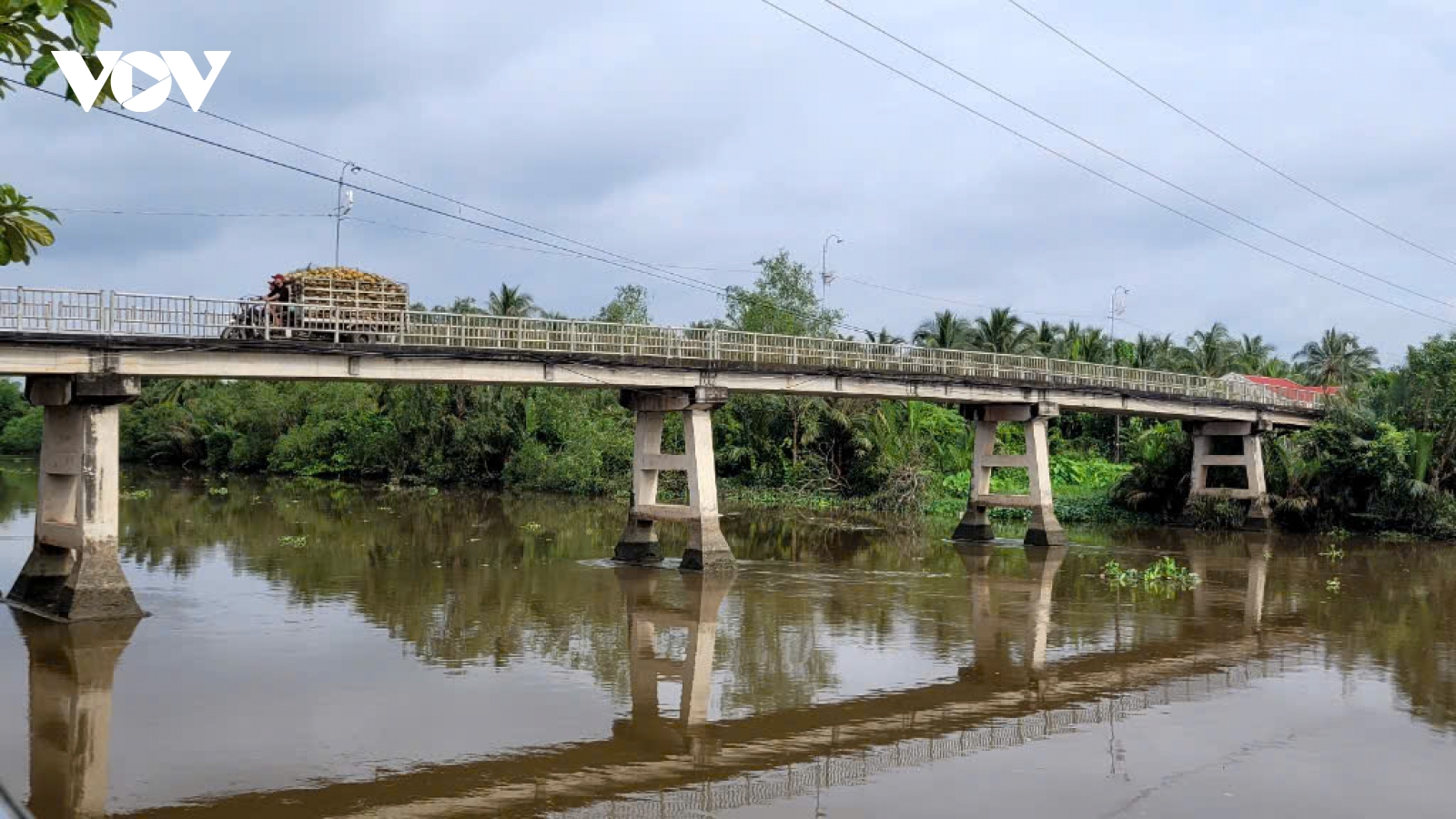 Tiền Giang: Cầu Bàn Long nhỏ hẹp, nhà vườn bán trái cây khó khăn