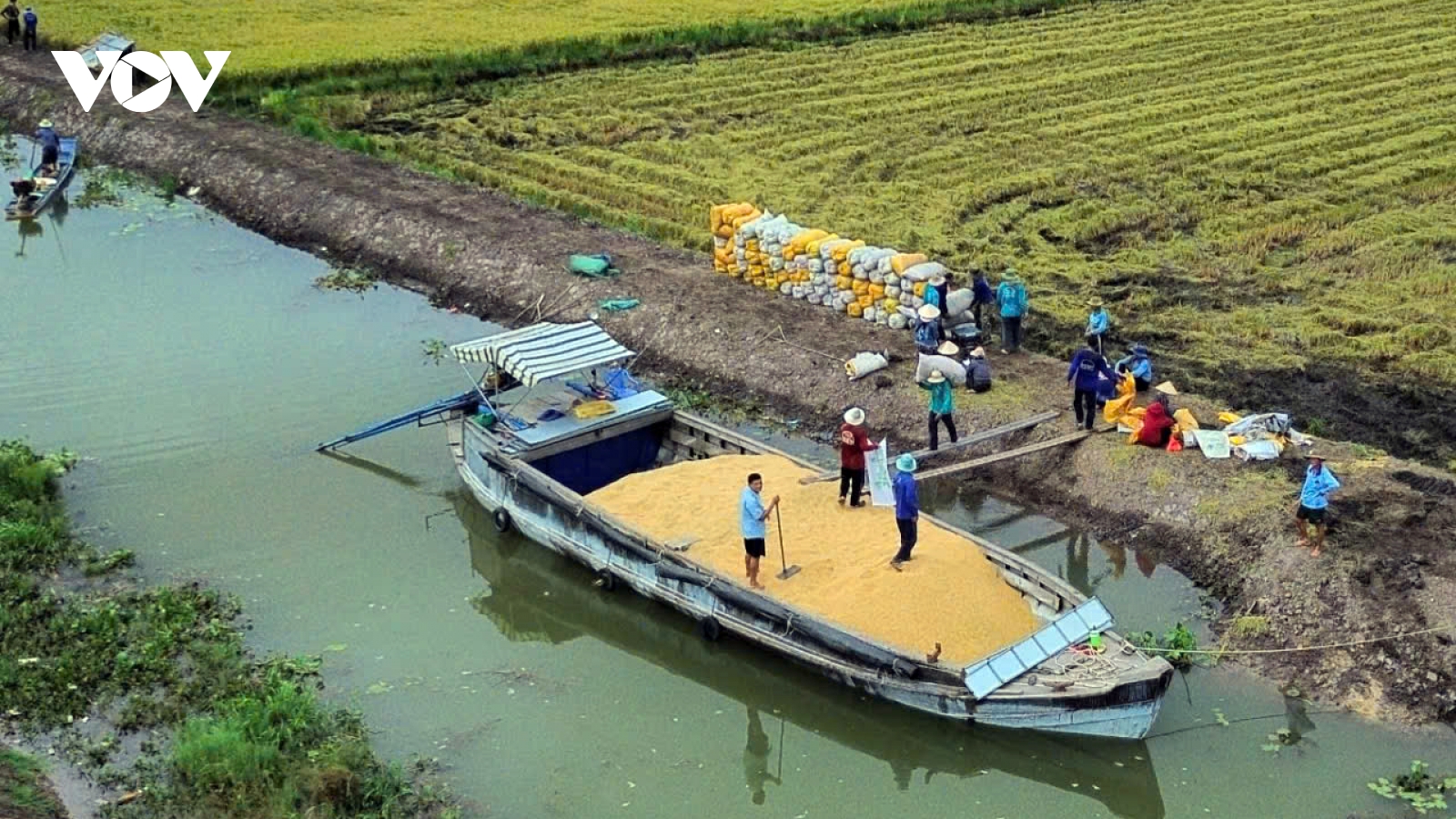 Doanh nghiệp Tiền Giang xuất khẩu gạo đến 20 quốc gia, vùng lãnh thổ