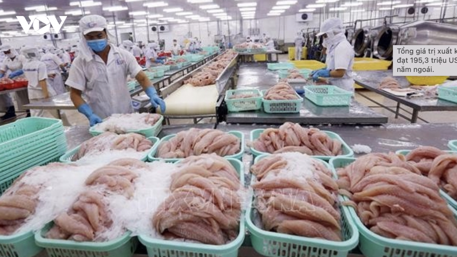Pangasius exports to Canada see 10% increase over 10 months