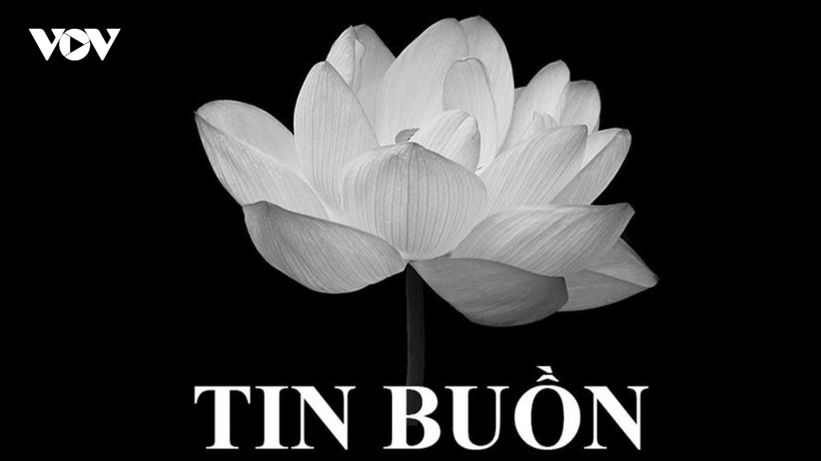 Nguyên Chủ tịch Hội Luật gia Việt Nam Phạm Quốc Anh từ trần