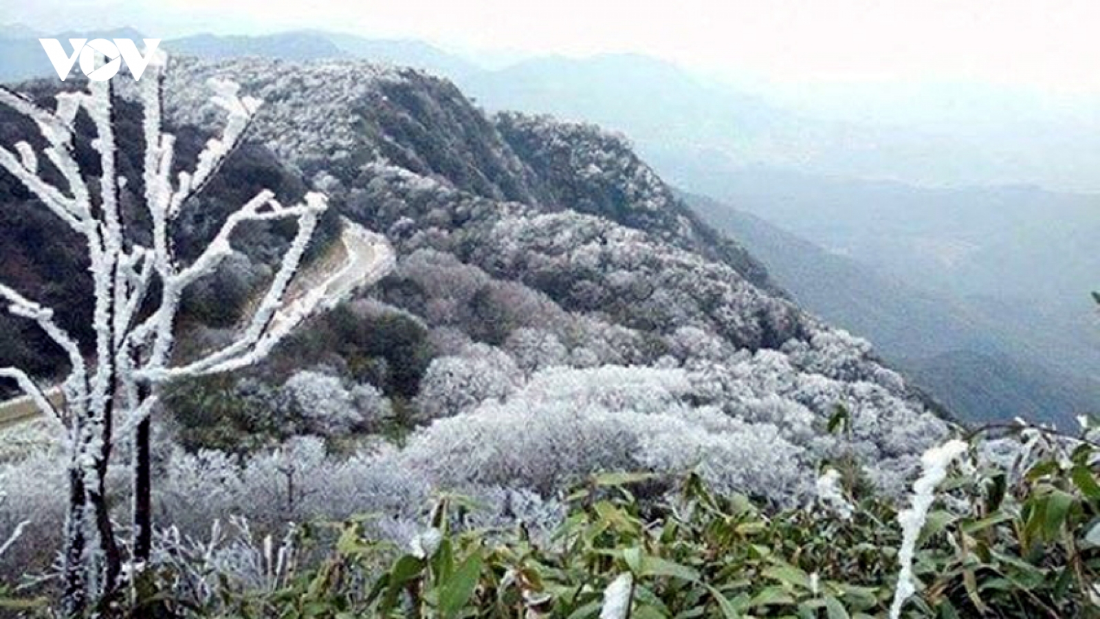Không khí lạnh tăng cường, Bắc Bộ và Bắc Trung Bộ có nơi lạnh dưới 15 độ