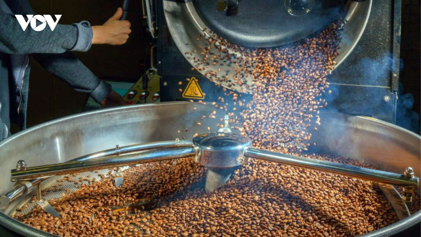Giá cà phê hôm nay 30/11: Cà phê trong nước lên mức 131.200 đồng/kg