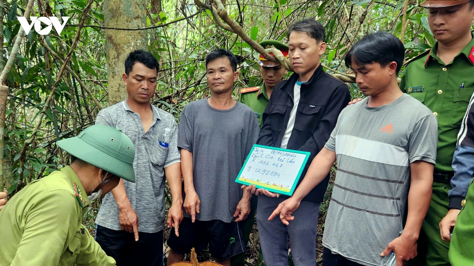 Nhân viên công ty lâm nghiệp cấu kết “lâm tặc” phá rừng