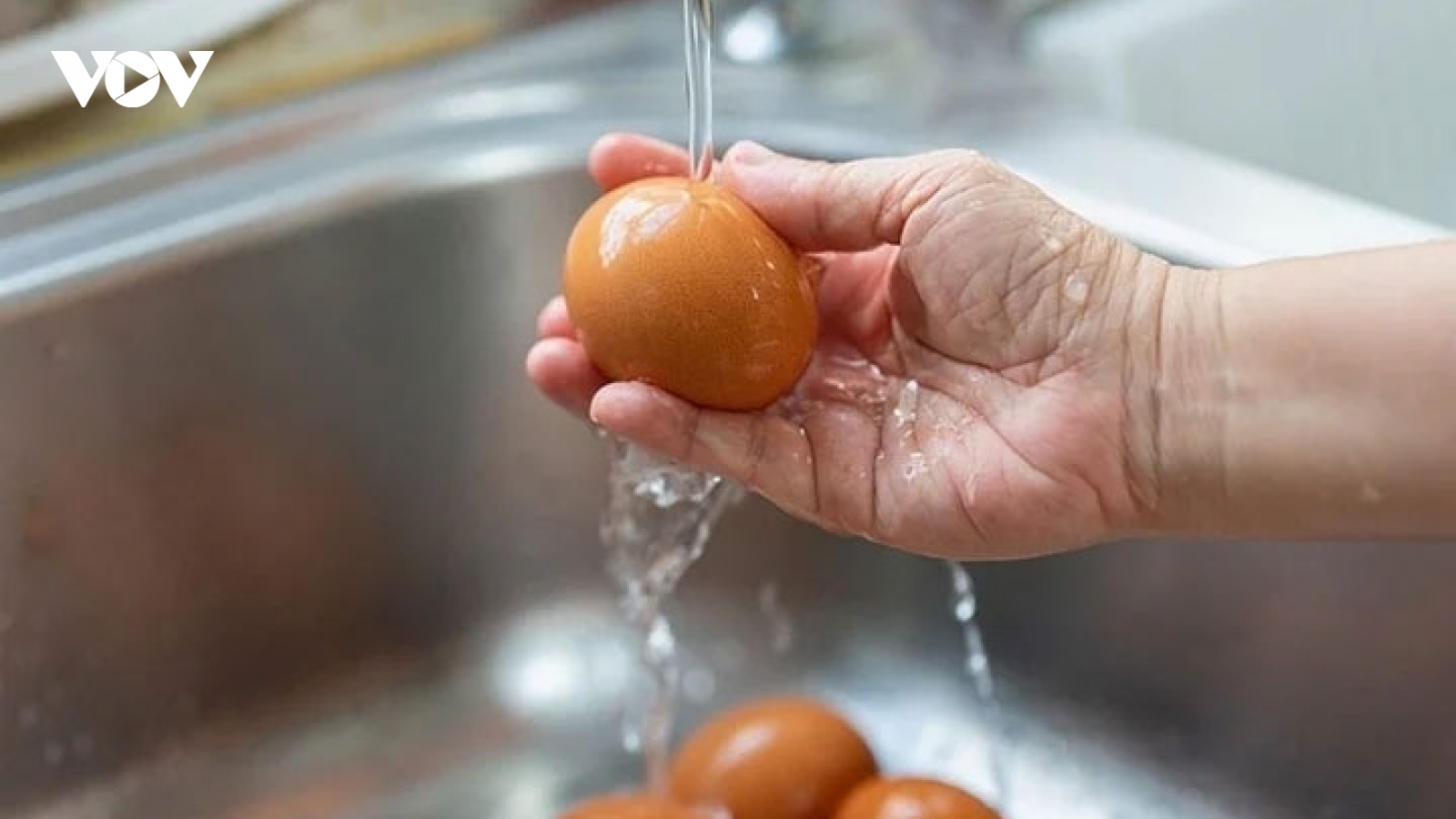 Có nên rửa sạch trứng trước khi bỏ vào tủ lạnh?