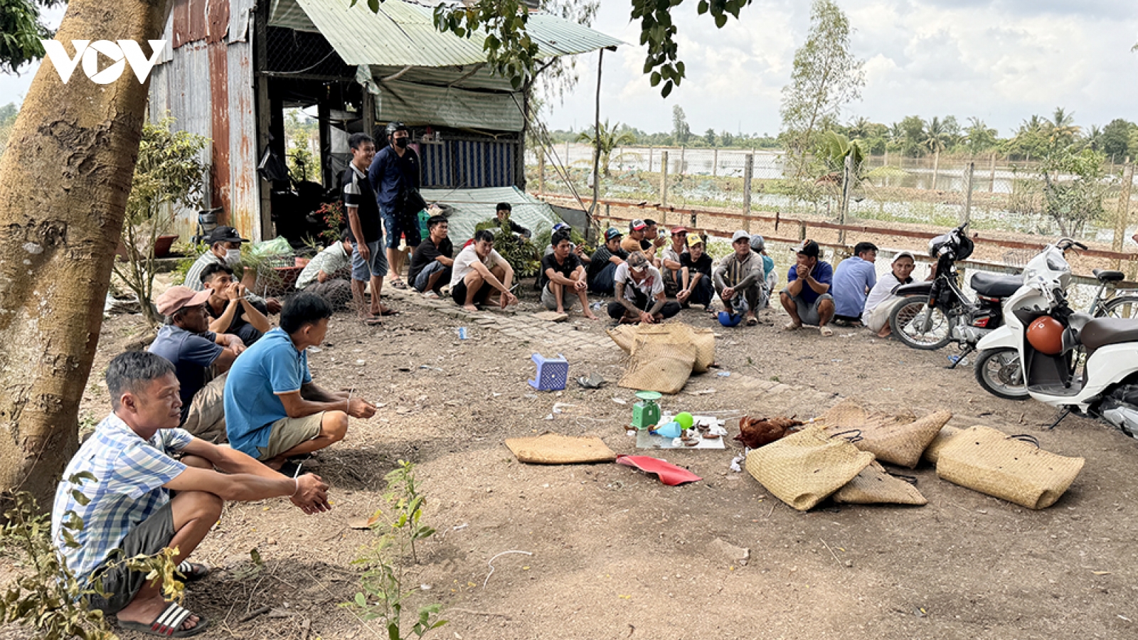 Triệt phá sới bạc nằm sâu trong cánh đồng