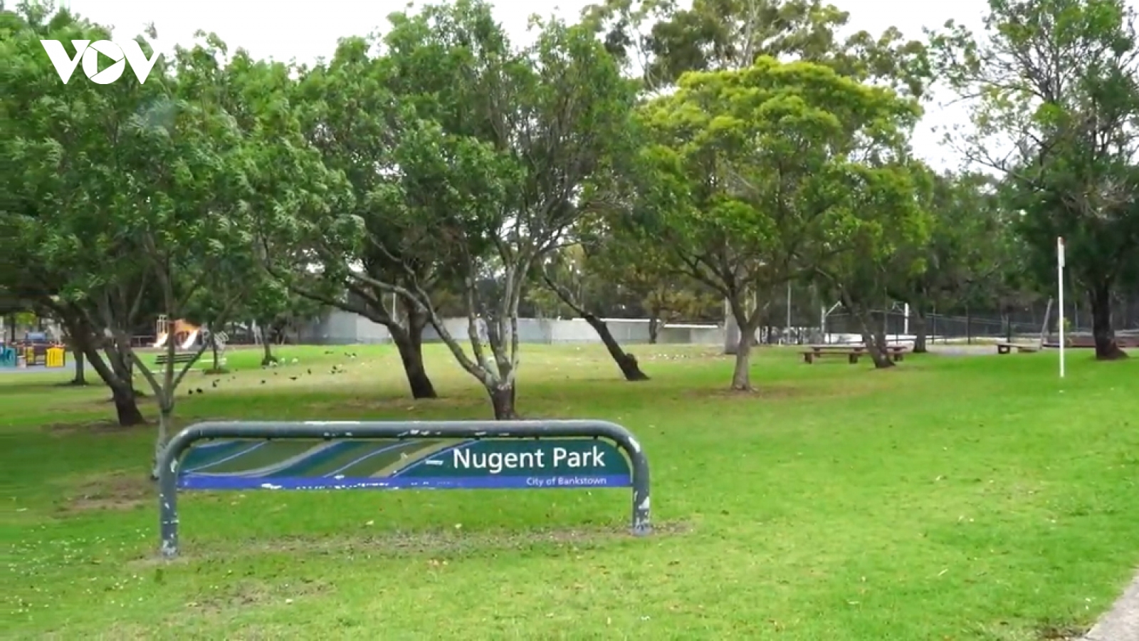Học sinh Việt Nam bị hành hung tại Australia đã trở lại trường học