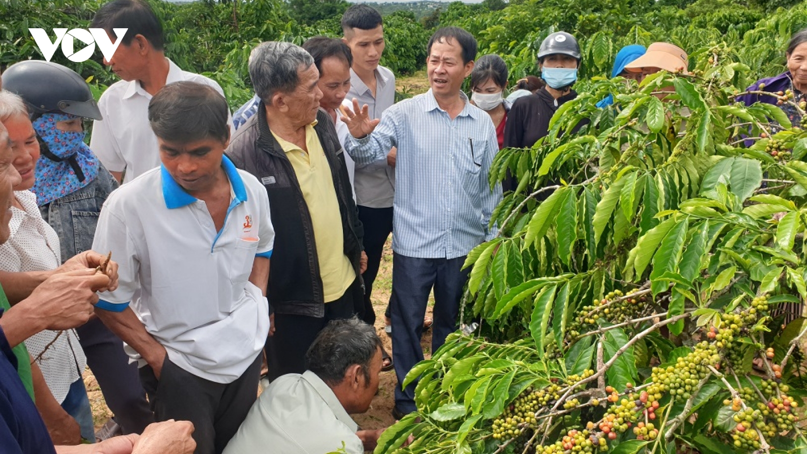 Trên dưới đồng lòng dẫn dòng cho nông nghiệp Tây Nguyên