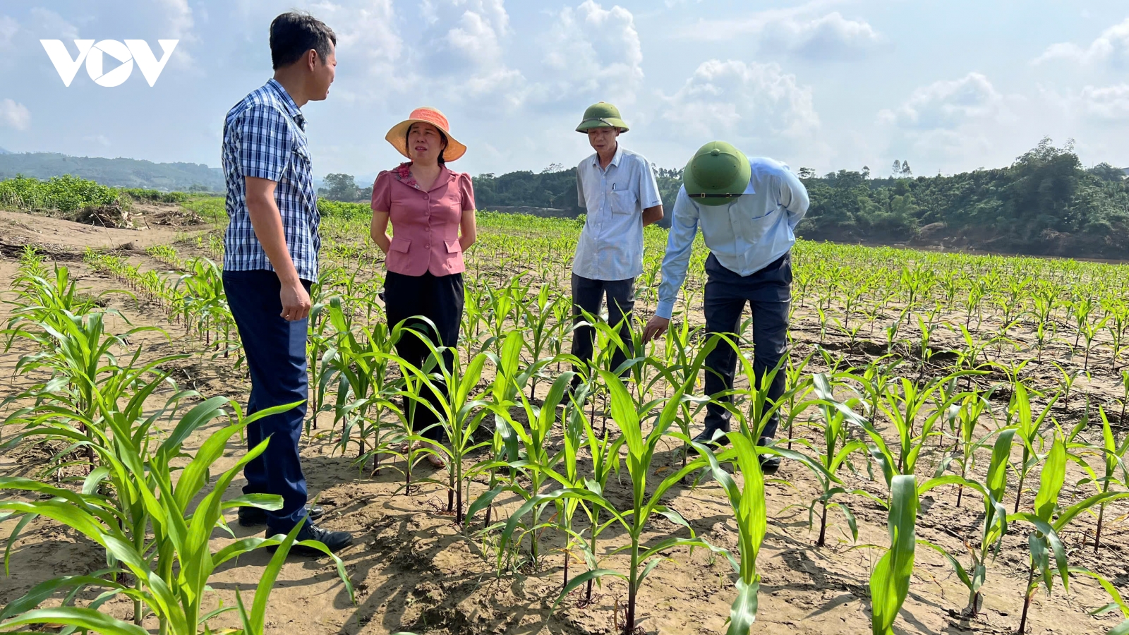 Cứu cây là cứu đói