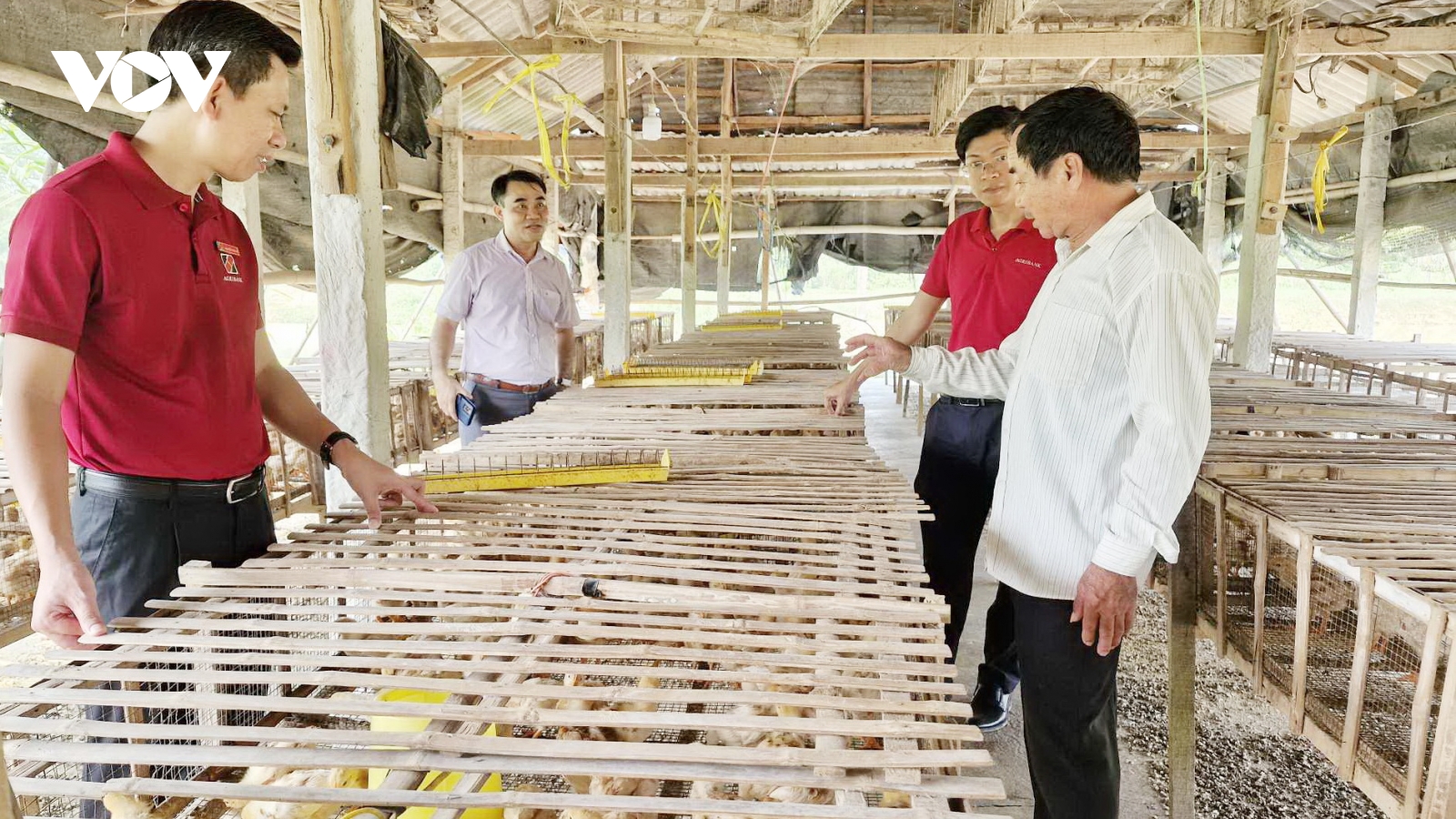 Quảng Nam tạo vốn cho nông dân làm kinh tế