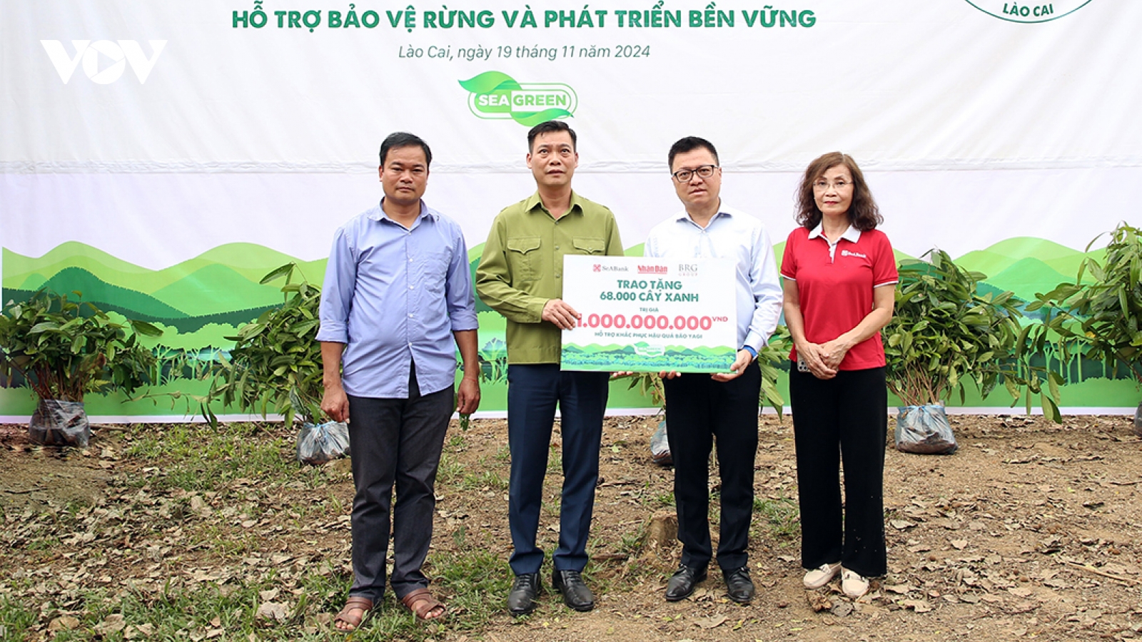 SeABank cùng Tập đoàn BRG trồng 68.000 cây phủ xanh gần 20ha rừng tại Lào Cai