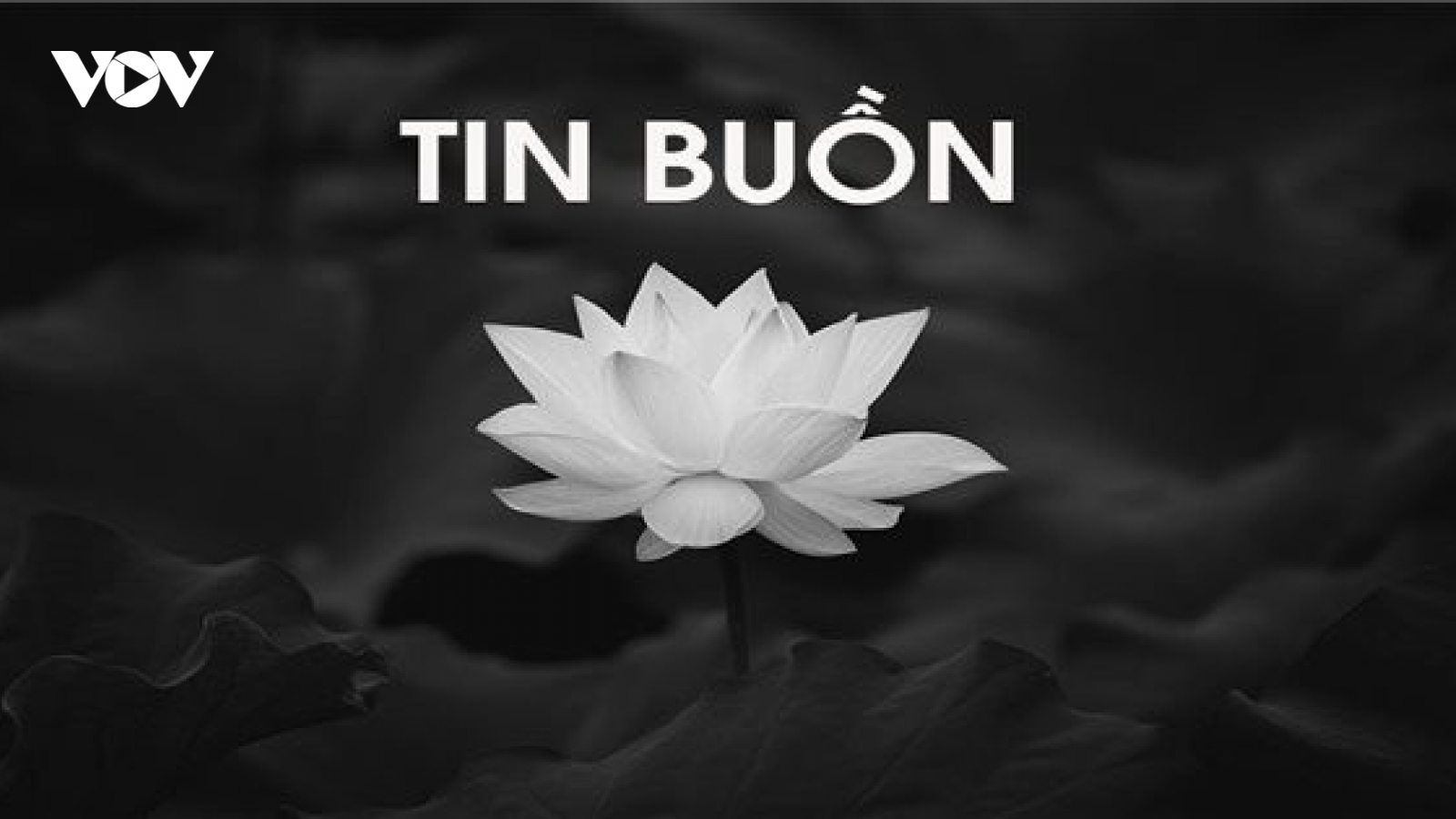 Nguyên Giám đốc NXB Chính trị quốc gia Sự thật Trần Đình Nghiêm từ trần