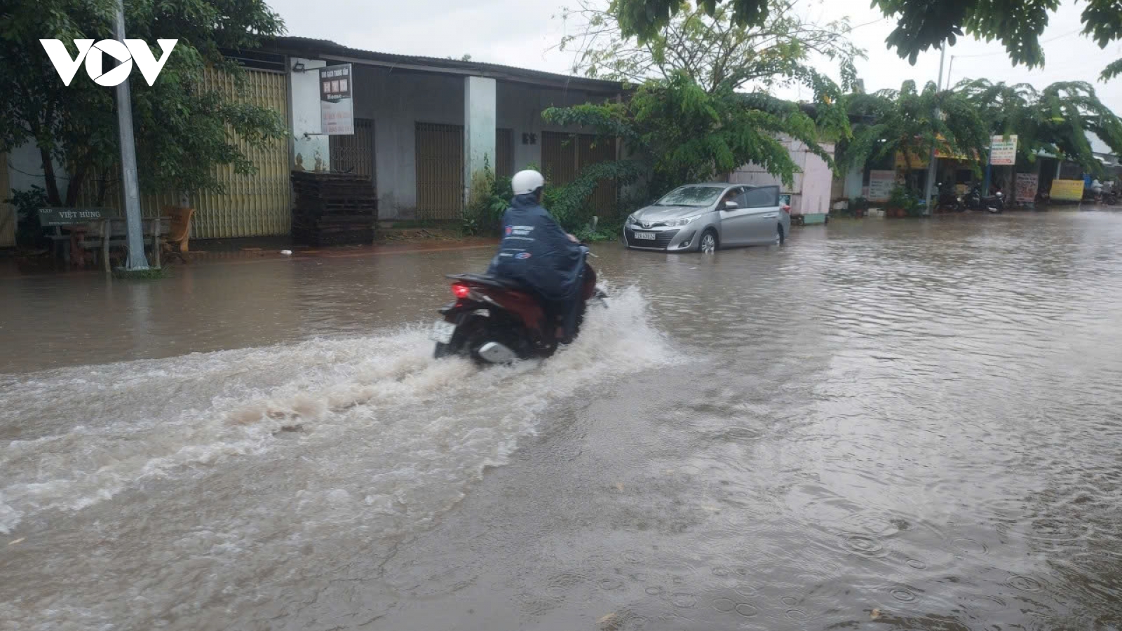 Triều cường vượt báo động 3, Bạc Liêu triển khai nhiều biện pháp ứng phó