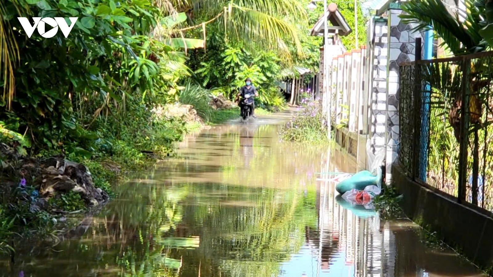 Hậu Giang: Triều cường rằm tháng 10 vượt báo động 3 gây ngập lụt cục bộ