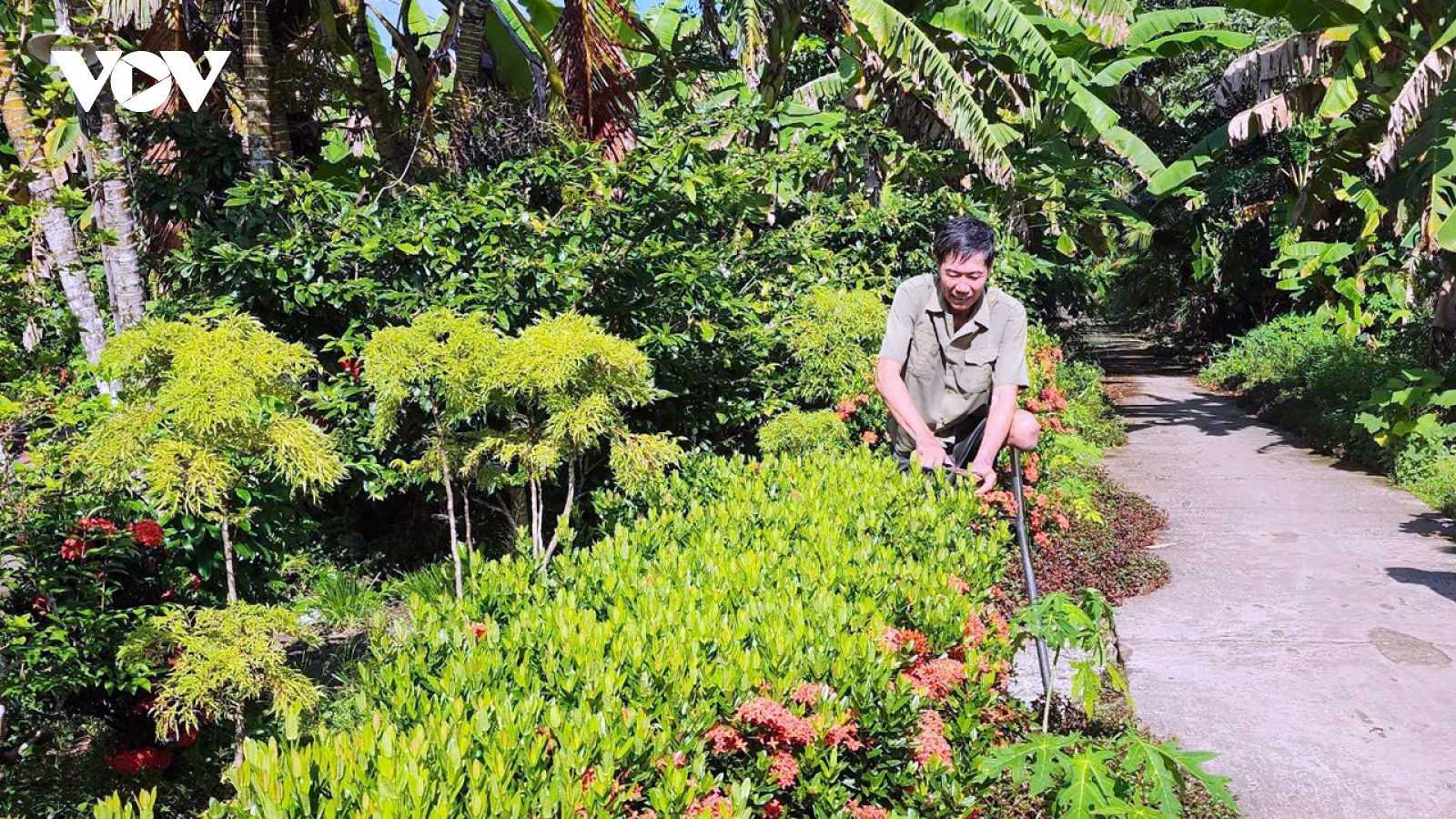 Ông Chà Cụt chỉ còn 1 chân vẫn lao động thu 300 triệu /năm