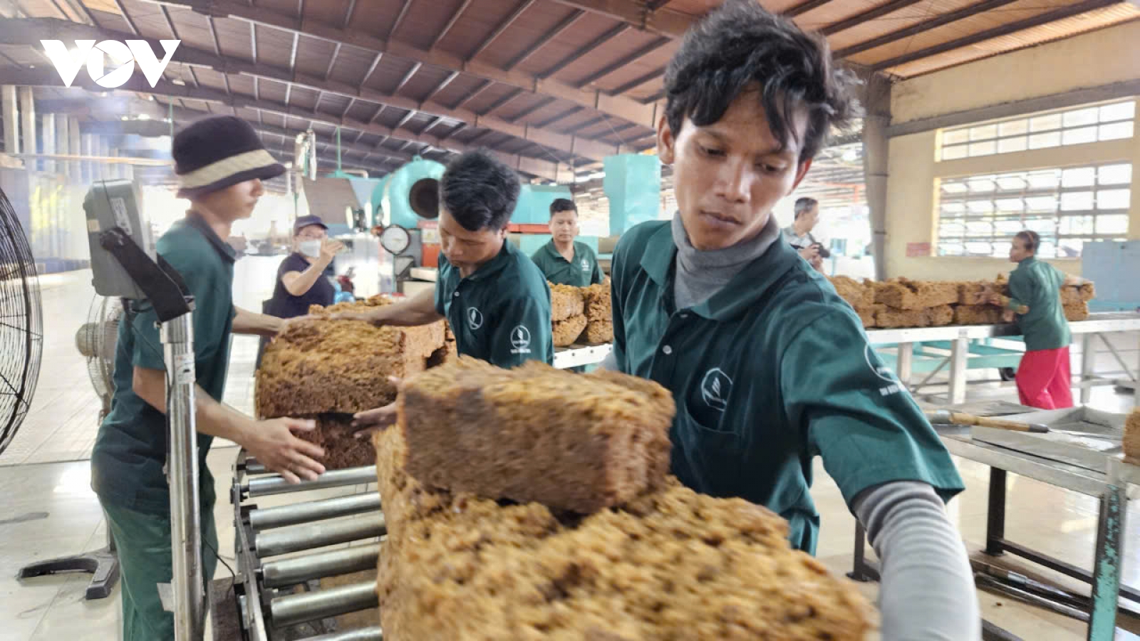 “Cao su Việt Nam, sợi dây kết nối kinh tế và tình người” trên nước bạn Campuchia